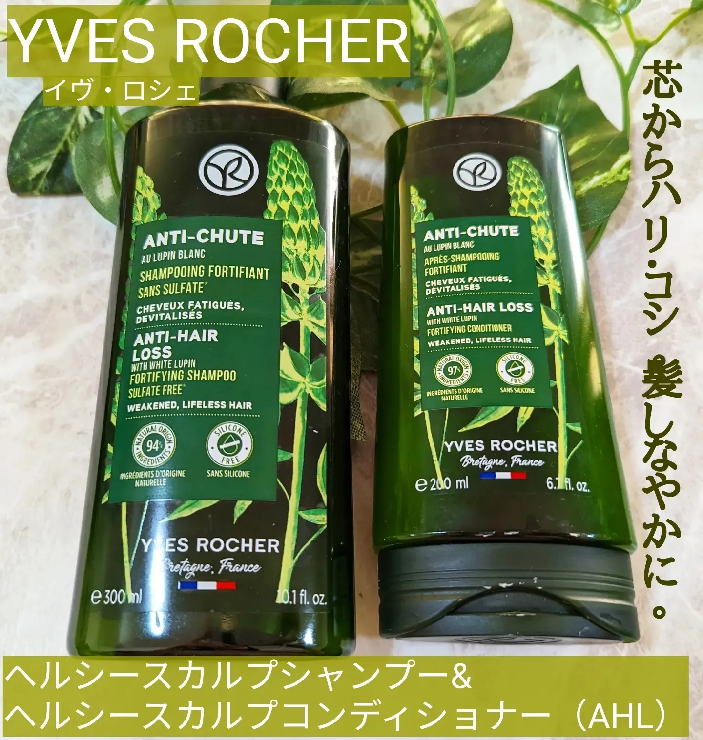 🌿YVES ROCHER（イヴ・ロシェ）ヘルシースカルプシャンプー