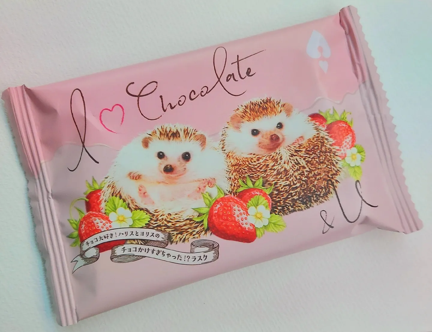 SOLDOUT!～ハリネズミさん がま口 そのさん （売りきれました 
