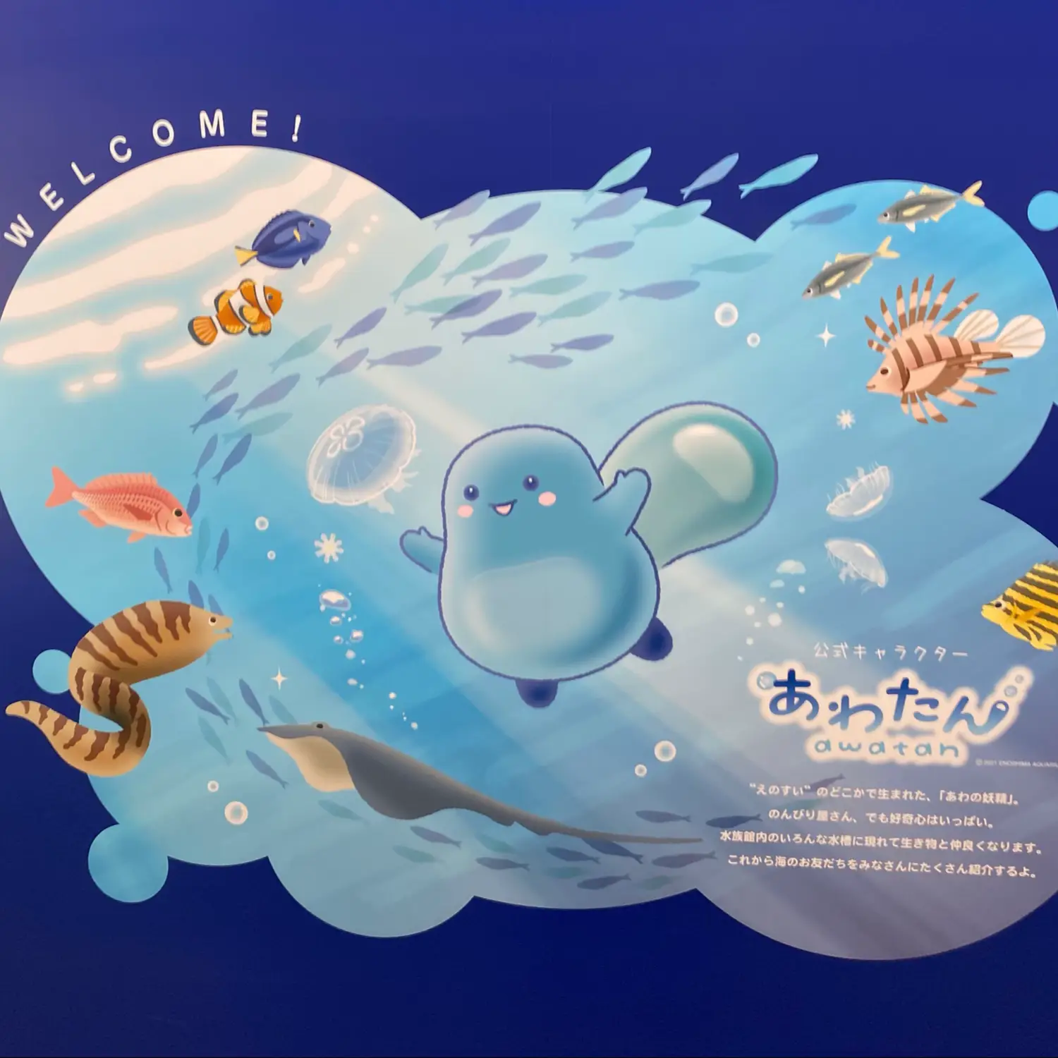 新江ノ島水族館🪼 | 海くらげ🪸🪼🩵が投稿したフォトブック | Lemon8