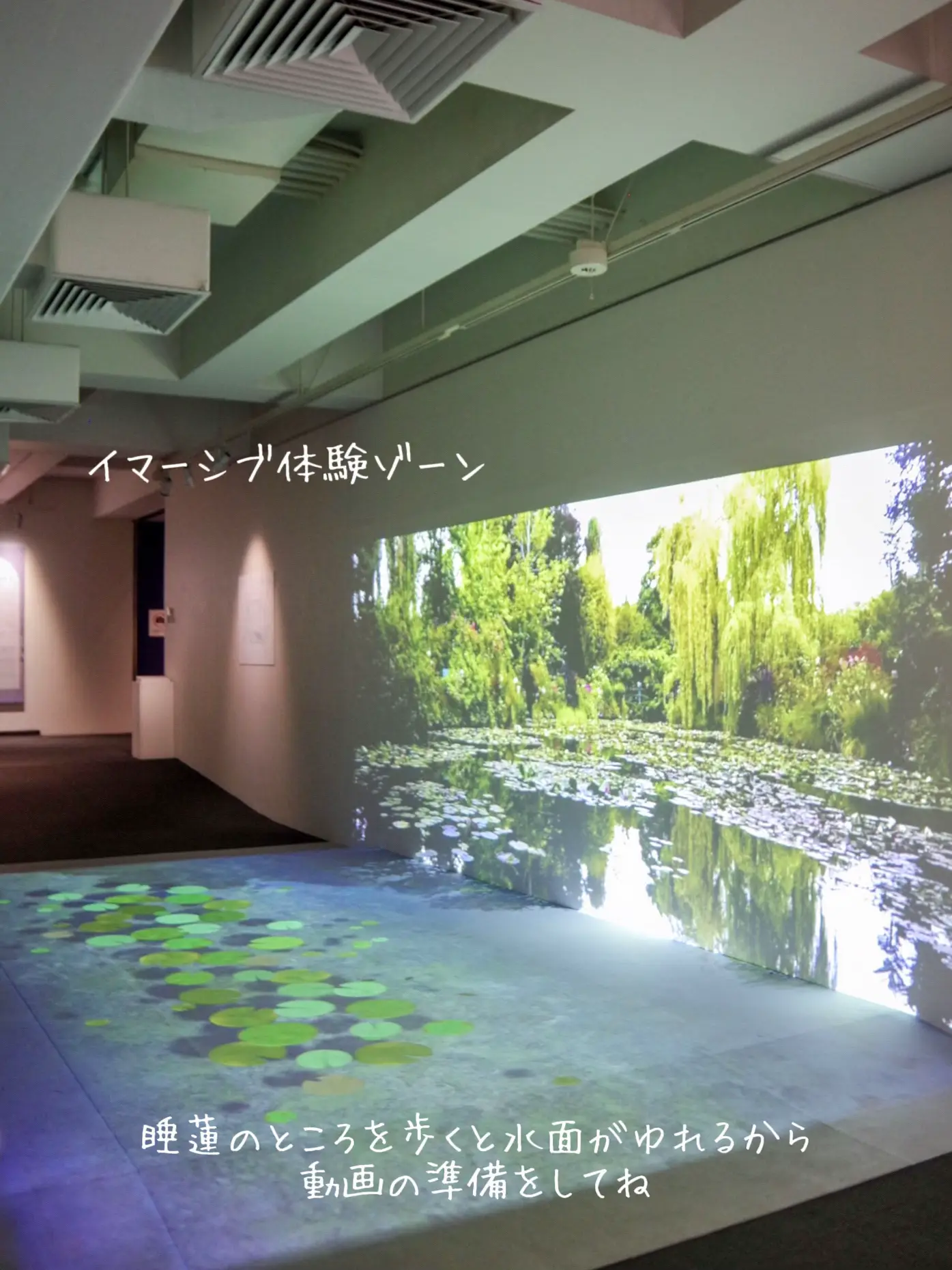 【東京|上野】忘れられない体験𓂃◌𓈒𓐍淡い光の色彩につつまれて🪷モネ 連作の情景‪の画像 (2枚目)