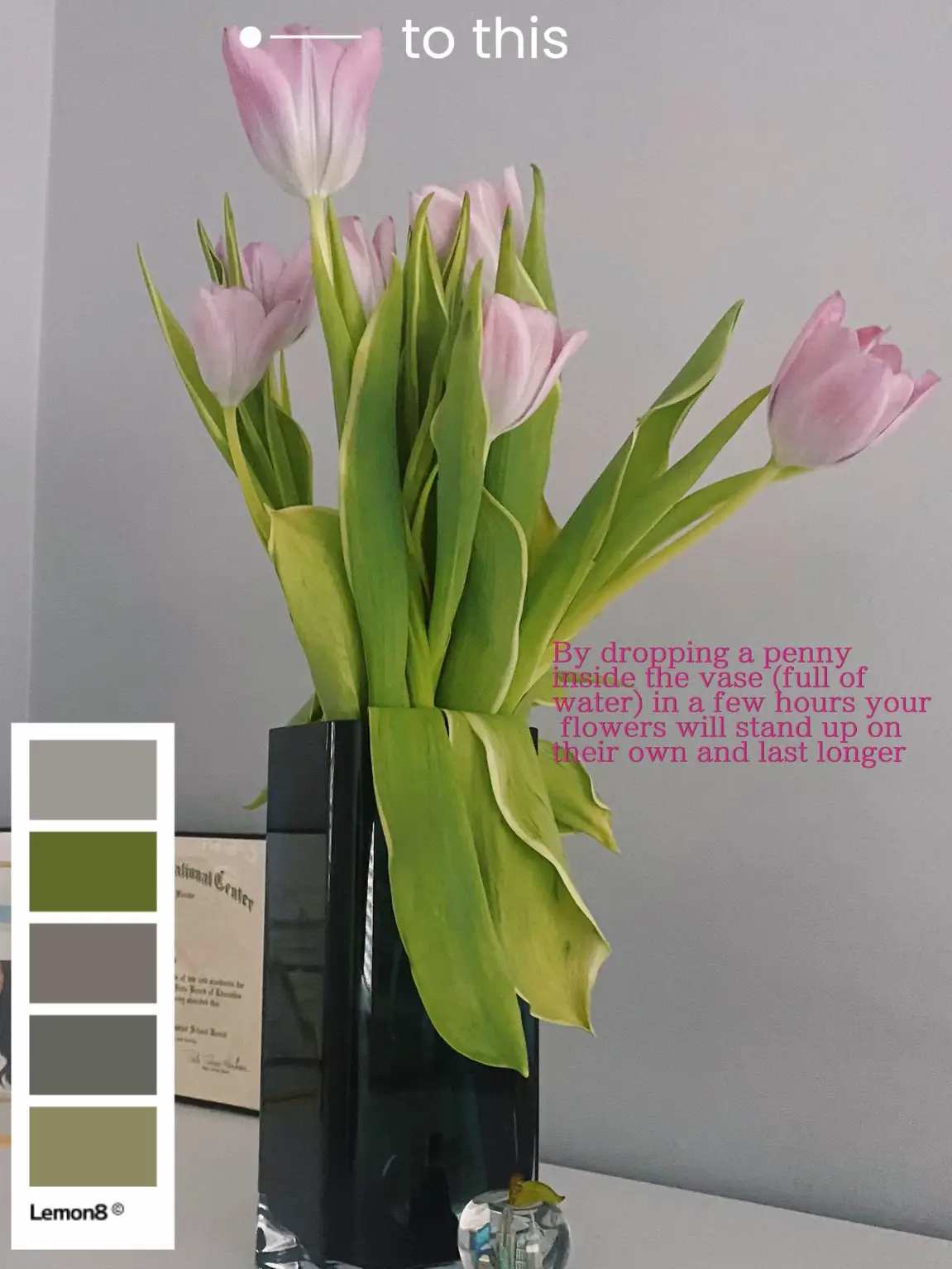 The Truth About Penny in the Vase for Your Flower Arrangements