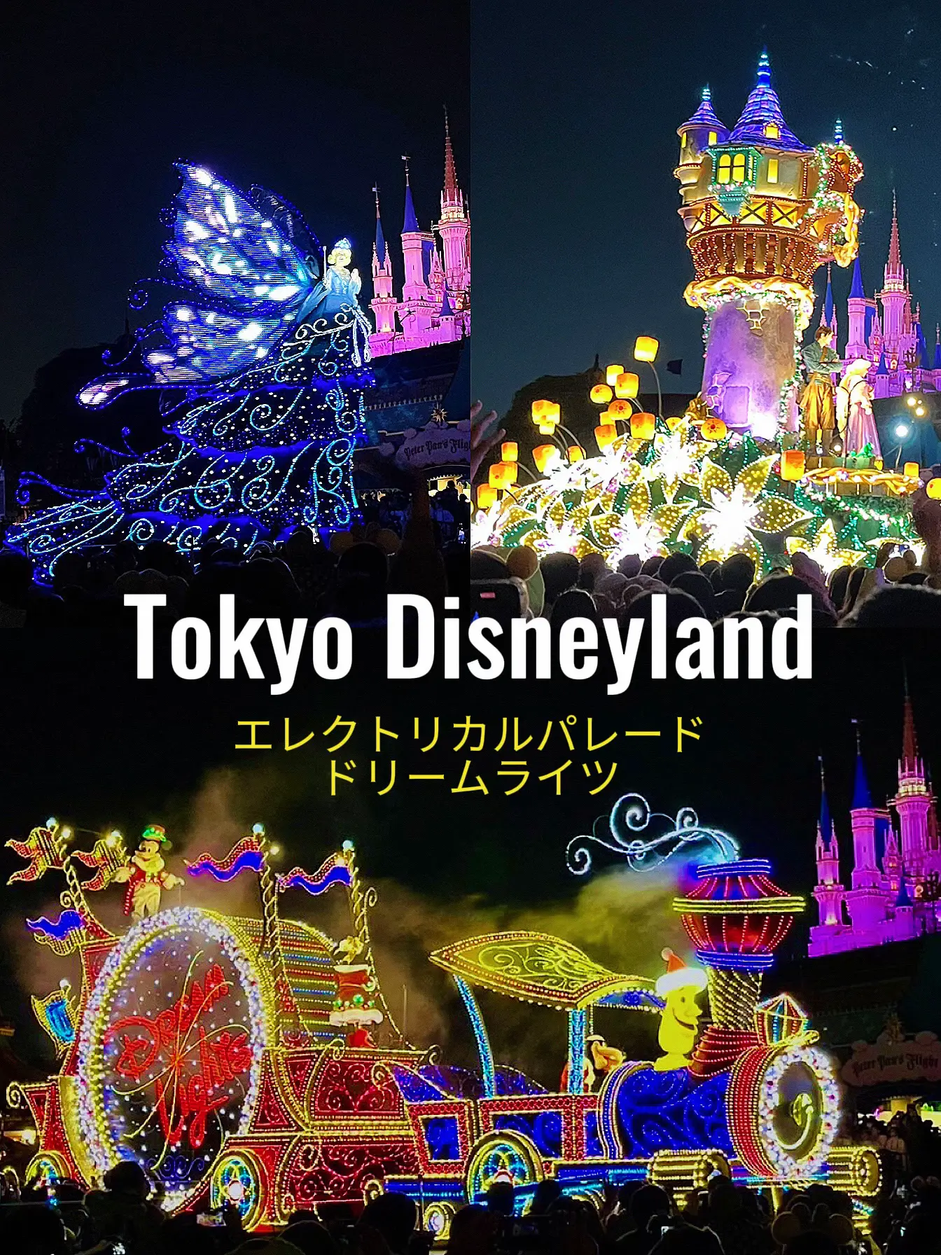 東京ディズニーランドのエレクトリカルパレード | nao_東海おでかけが 