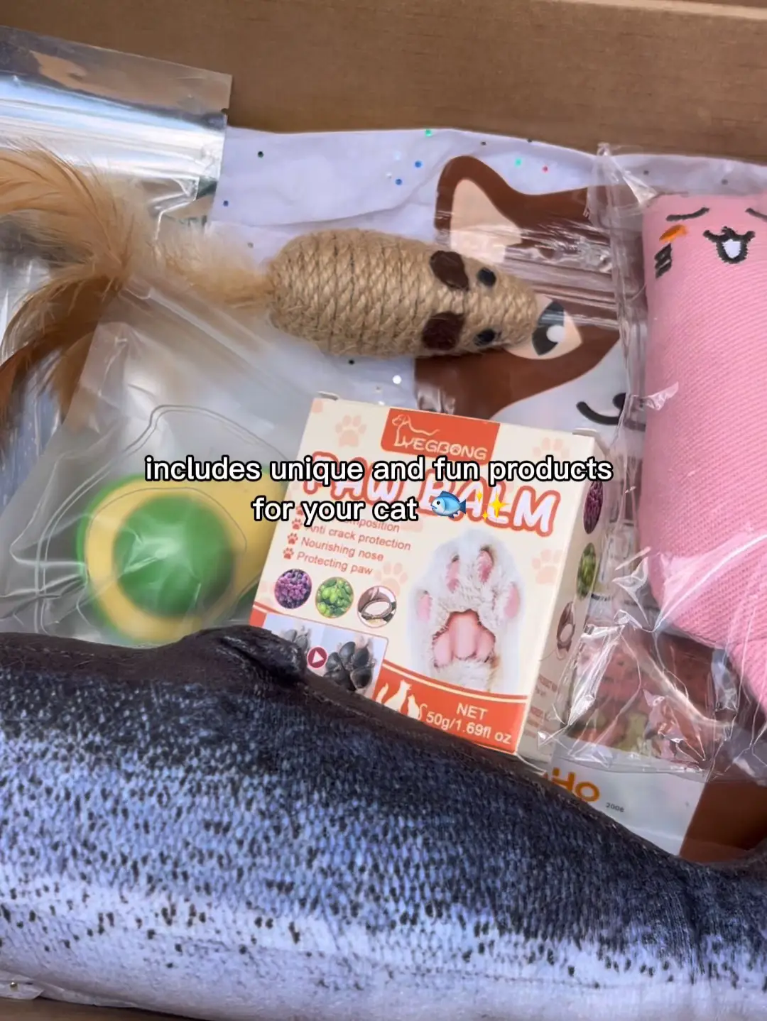 The best cat box 🐾🐱🧡 Video published by Catsclusive Lemon8