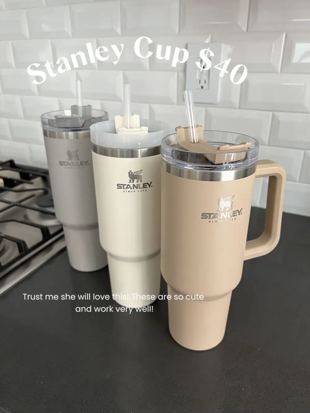 Vanilla mini Stanley 🍨  Cute coffee cups, Christmas gift baskets