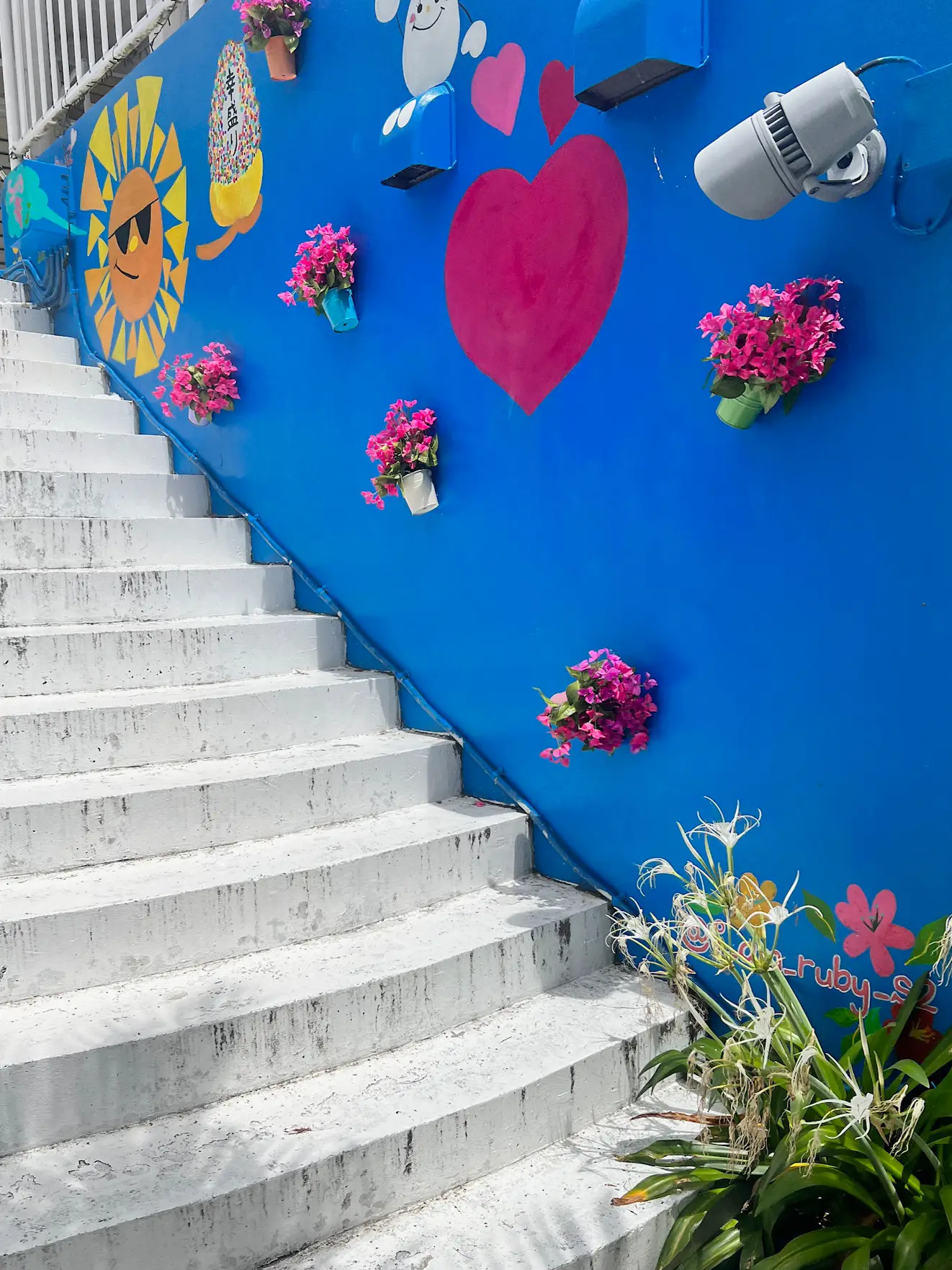 berry ꕤ︎︎·͜·様　　琉球*海花のたね berry ꕤ︎︎·͜·様 琉球*海花のたね berry ꕤ︎︎·͜·様 琉球*