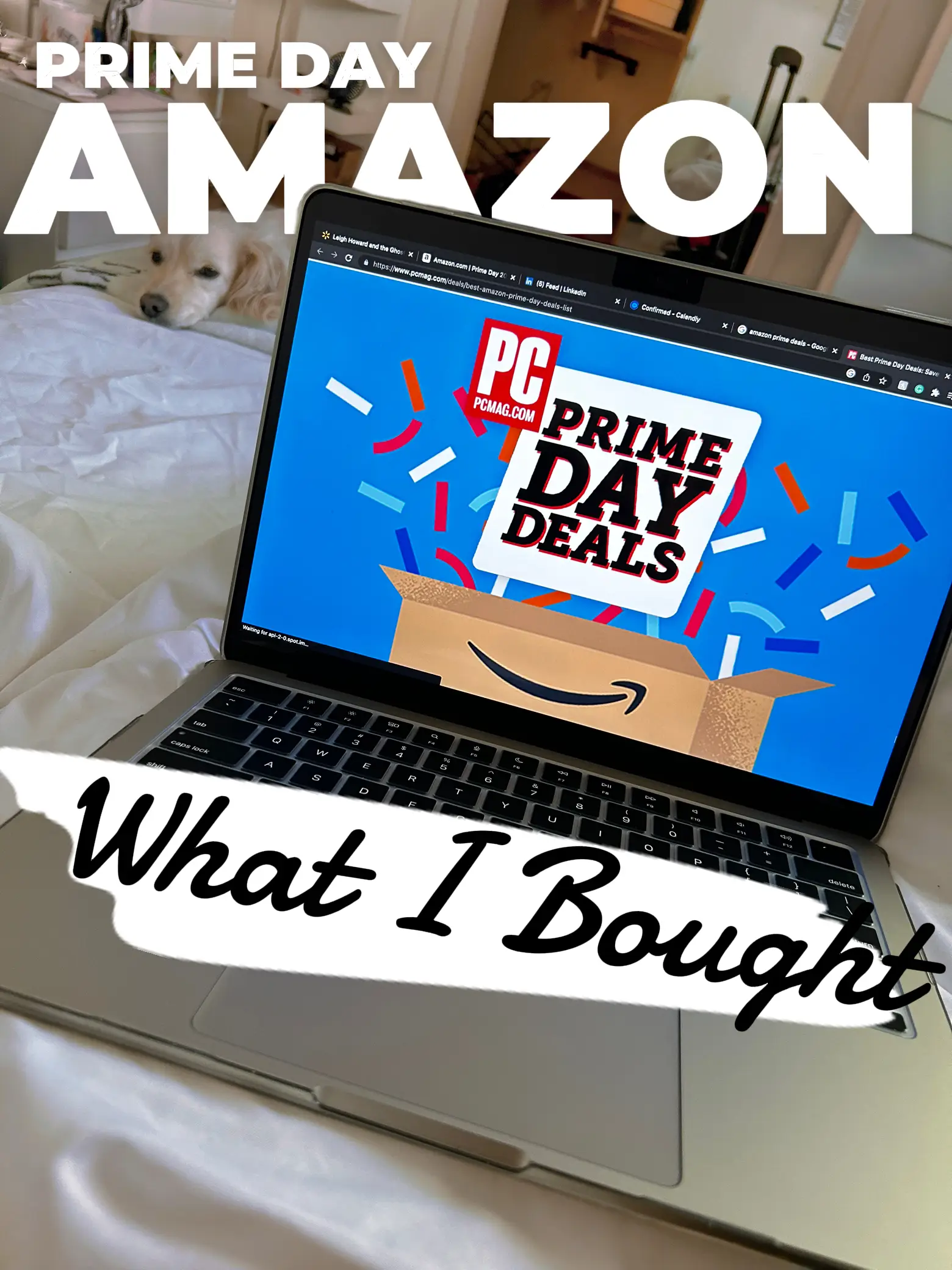 Early Bird Steals on  Prime Day 2023 - Lemon8 Search