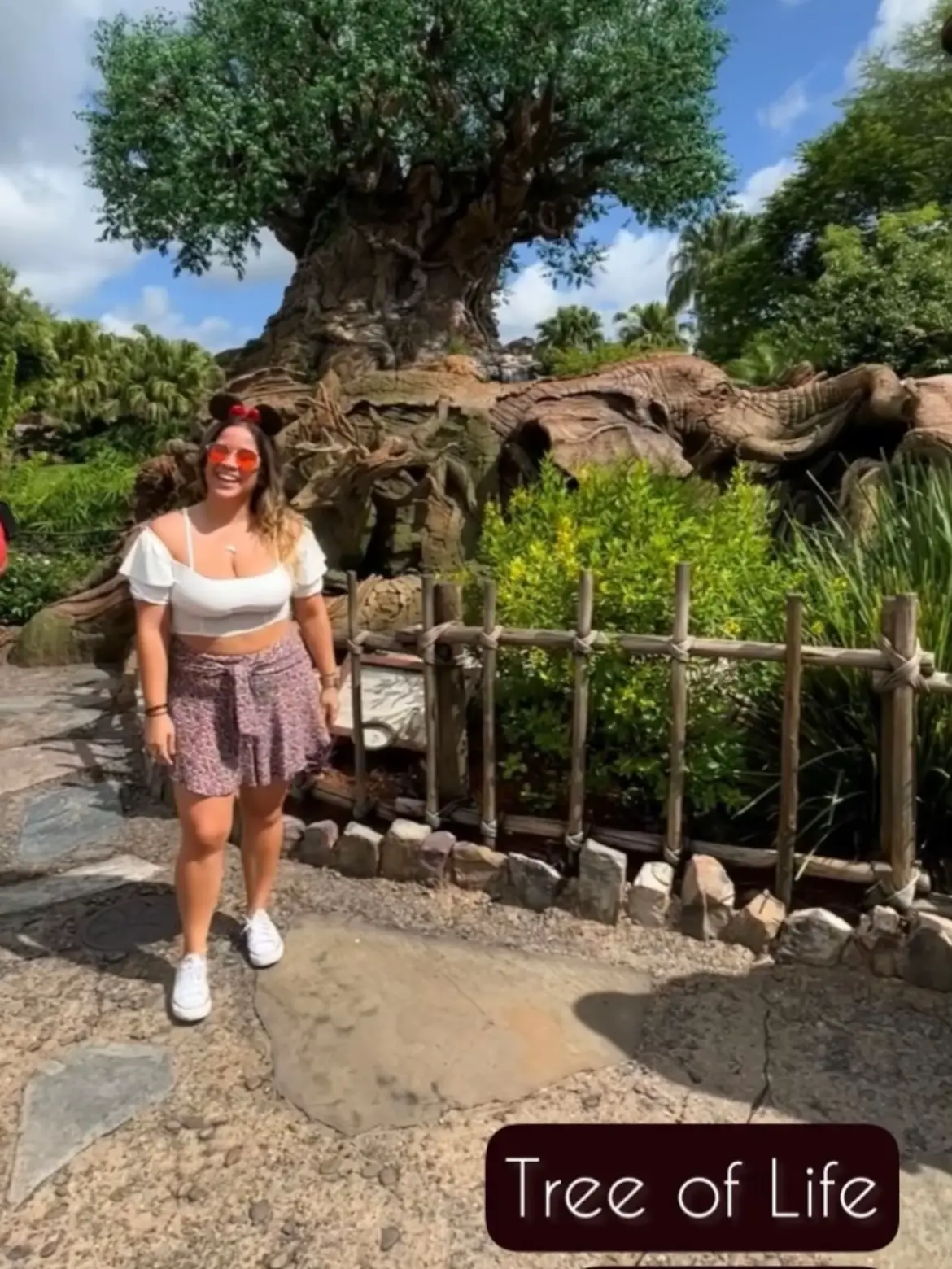 Disney Animal Kingdom vacation tips - Lemon8 Search