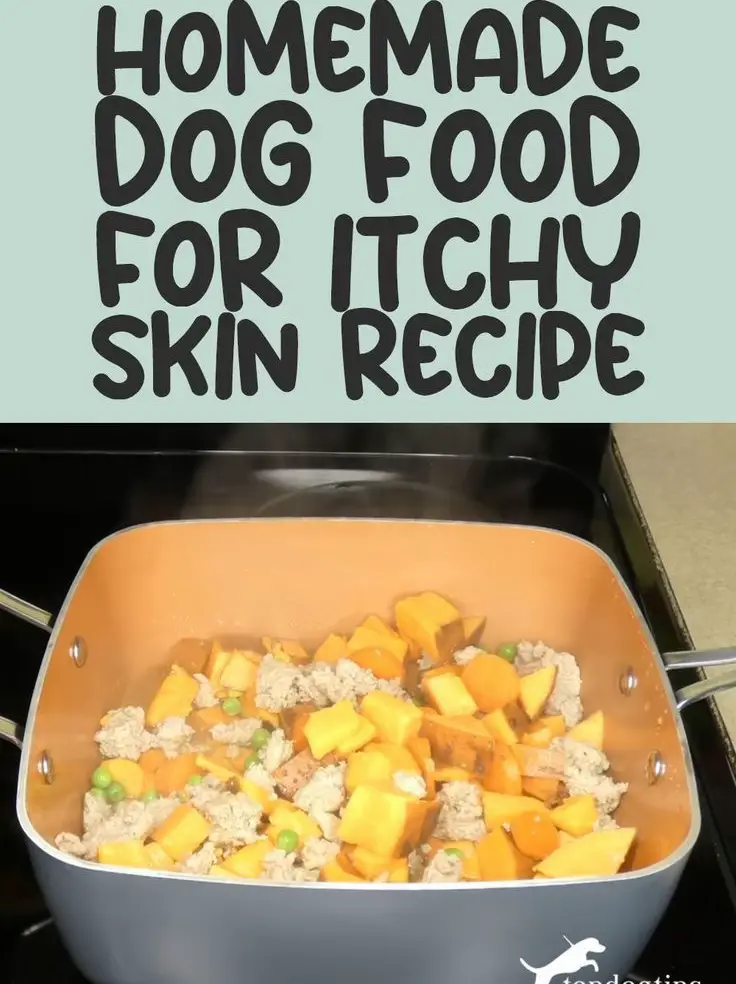 Benefits of Homemade Dog Food for Allergies Lemon8 Search