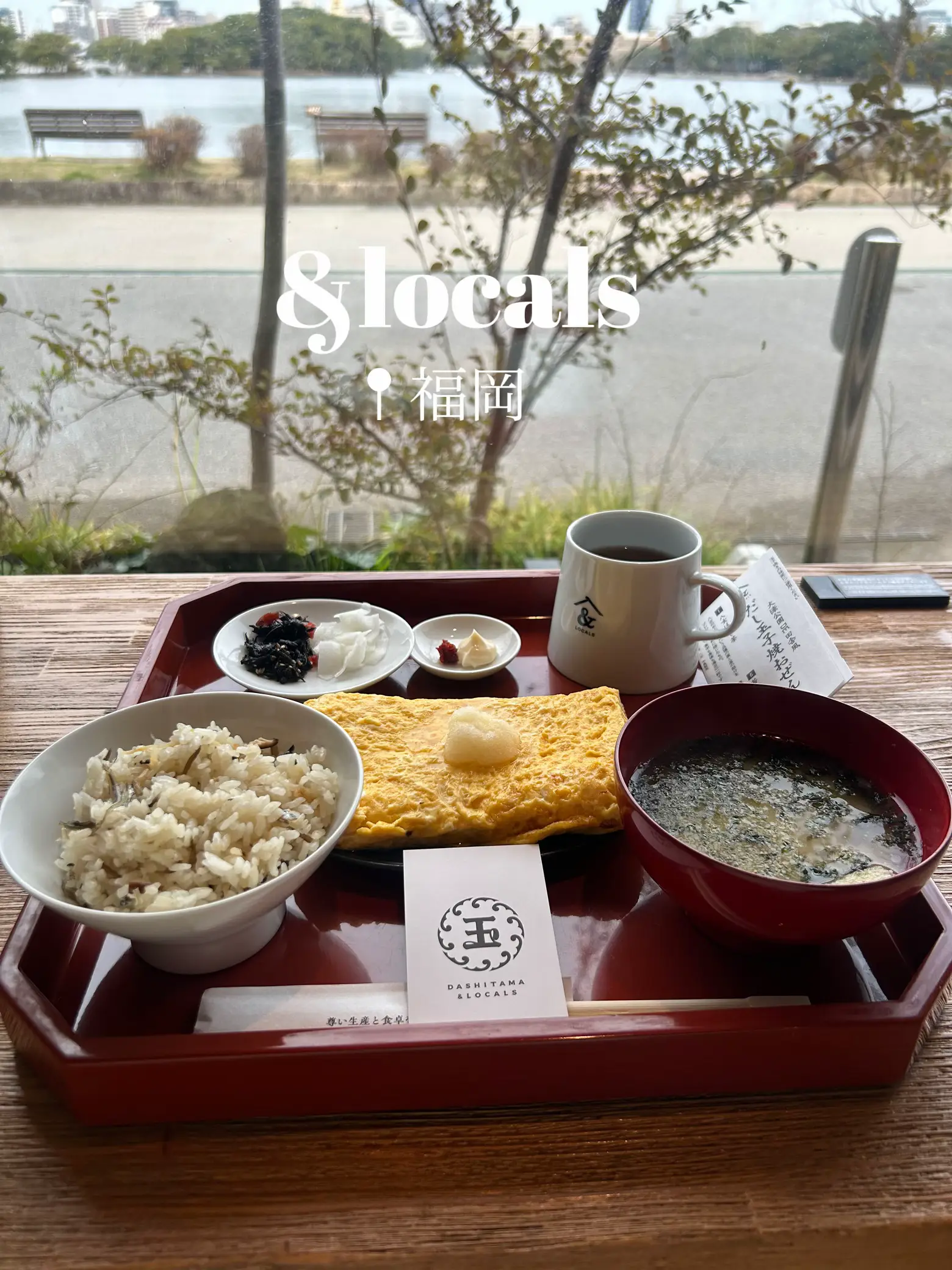 LOEWE ショルダーバッグ ダークブラウン シリアルナンバー341003 LOEWE