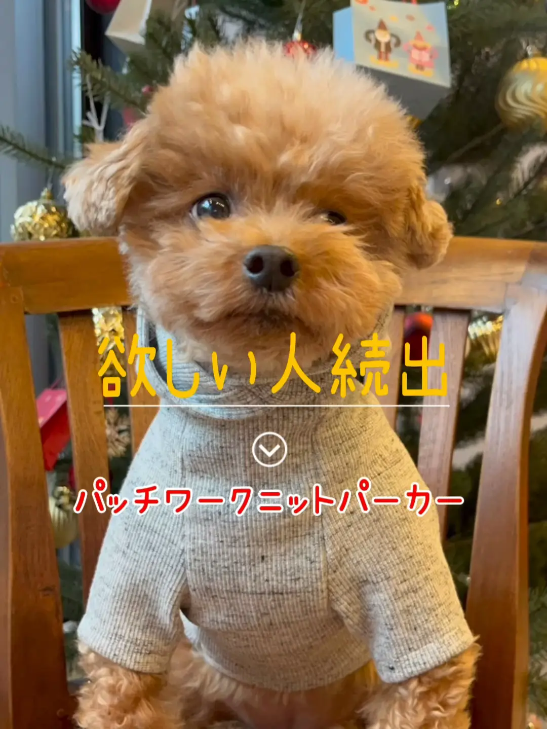 ♡ハル♡さま確認用☺︎わんこふく犬服