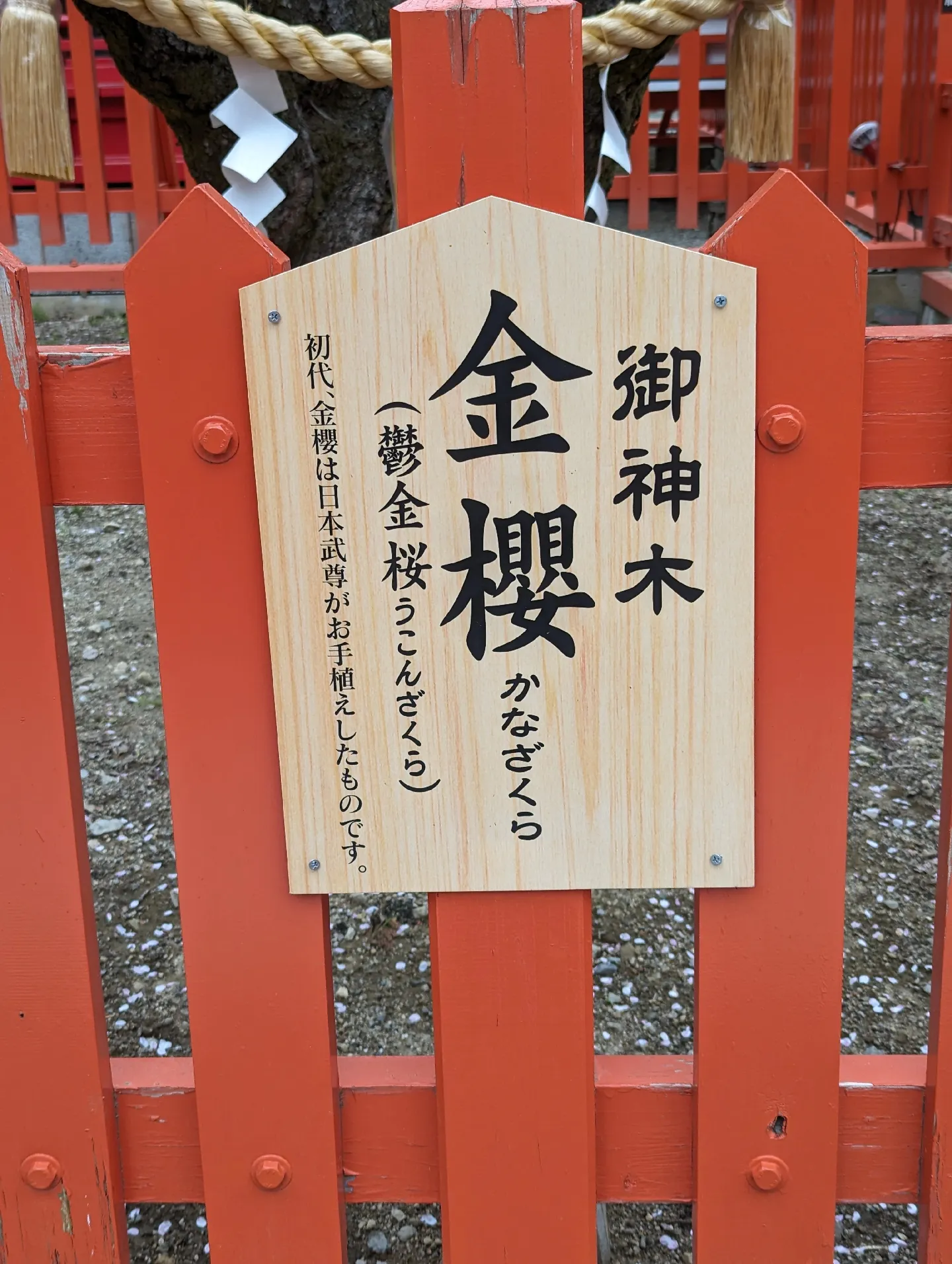 金櫻神社(山梨県甲府市)にまたまた行ってきました。 2回目！ | パワースポットのんびり1人旅が投稿したフォトブック | Lemon8