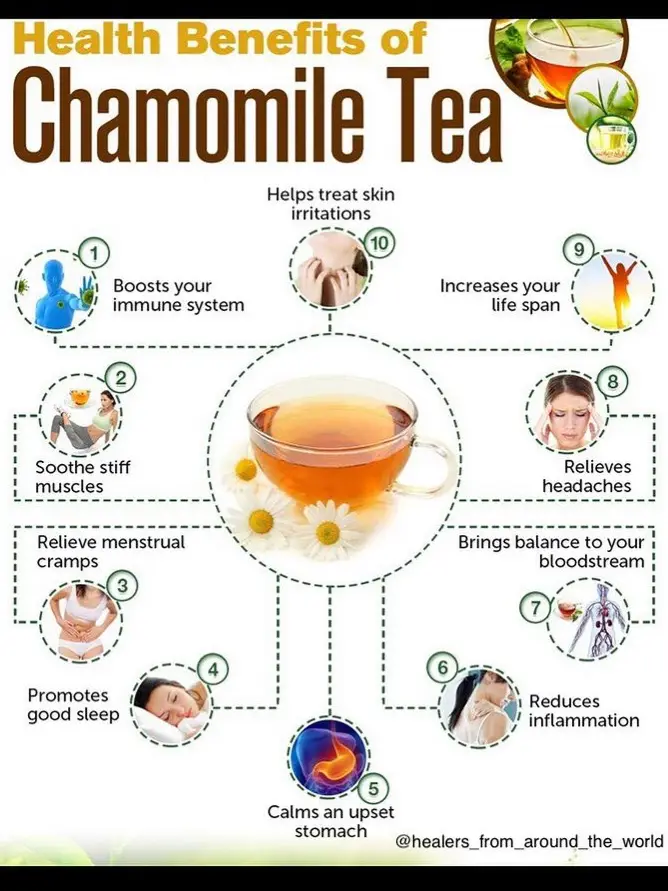 20 top Chamomile Tea for Sleep ideas in 2024