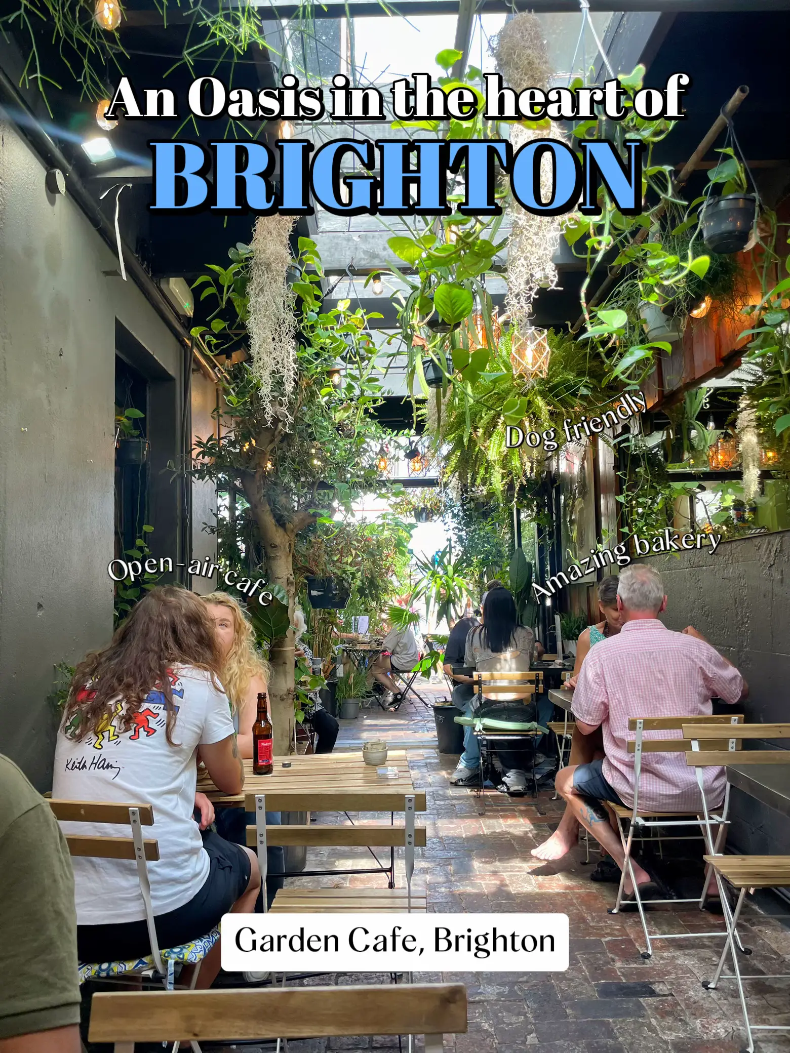 An oasis in the heart of Brighton ☕️🍄🍅🧀 | Gallery posted by ...