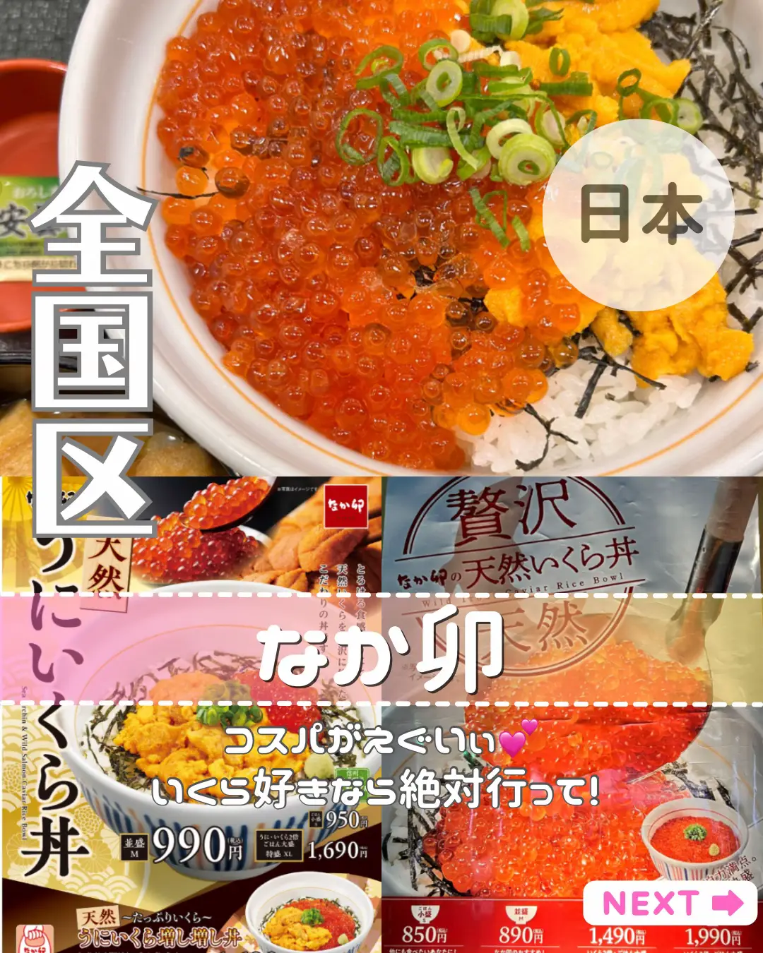 890華やか訪問着 ひかり 単品