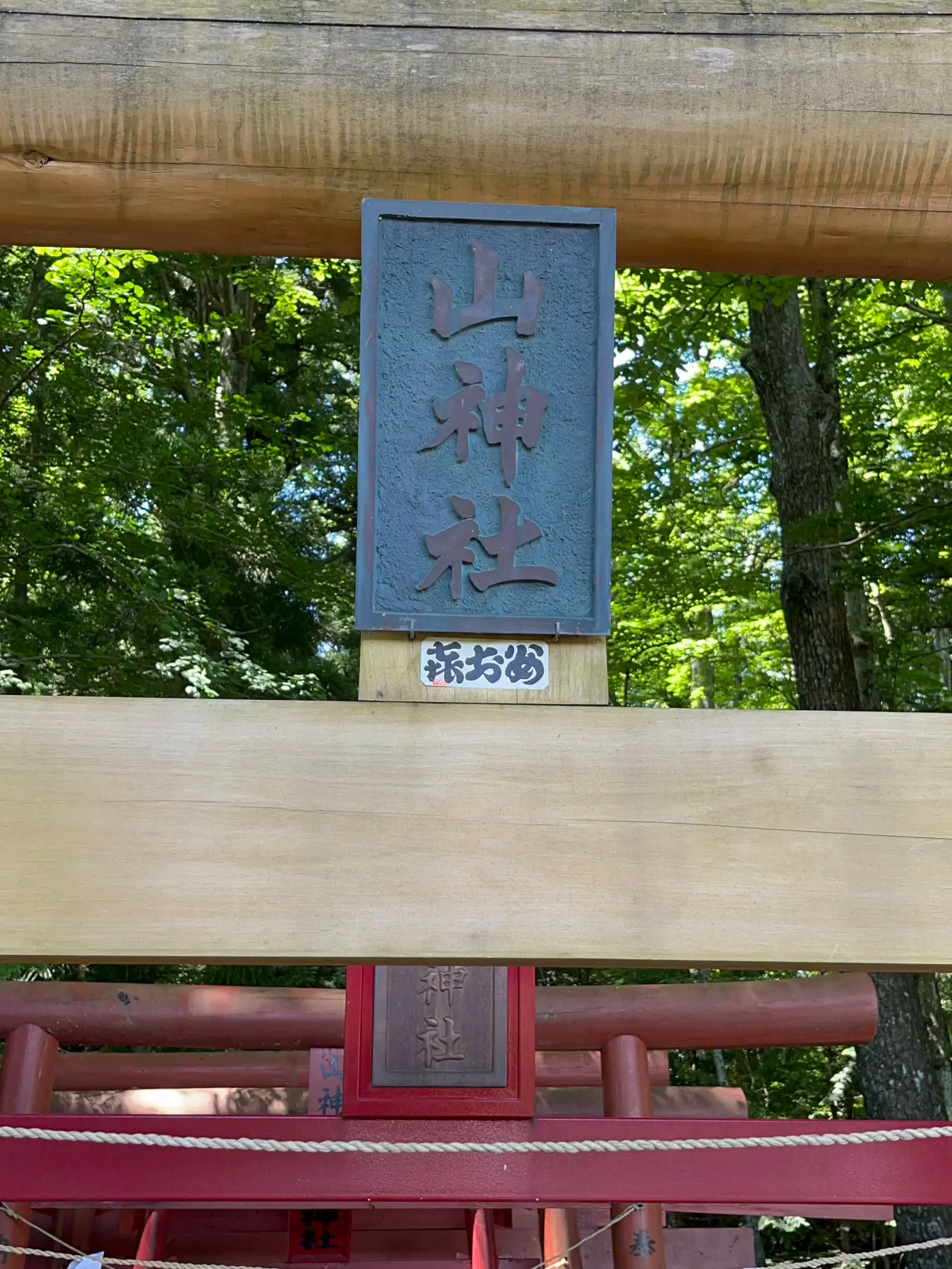 ☆最強金運☆富士御室浅間神社&新屋山神社ペア♪ - その他