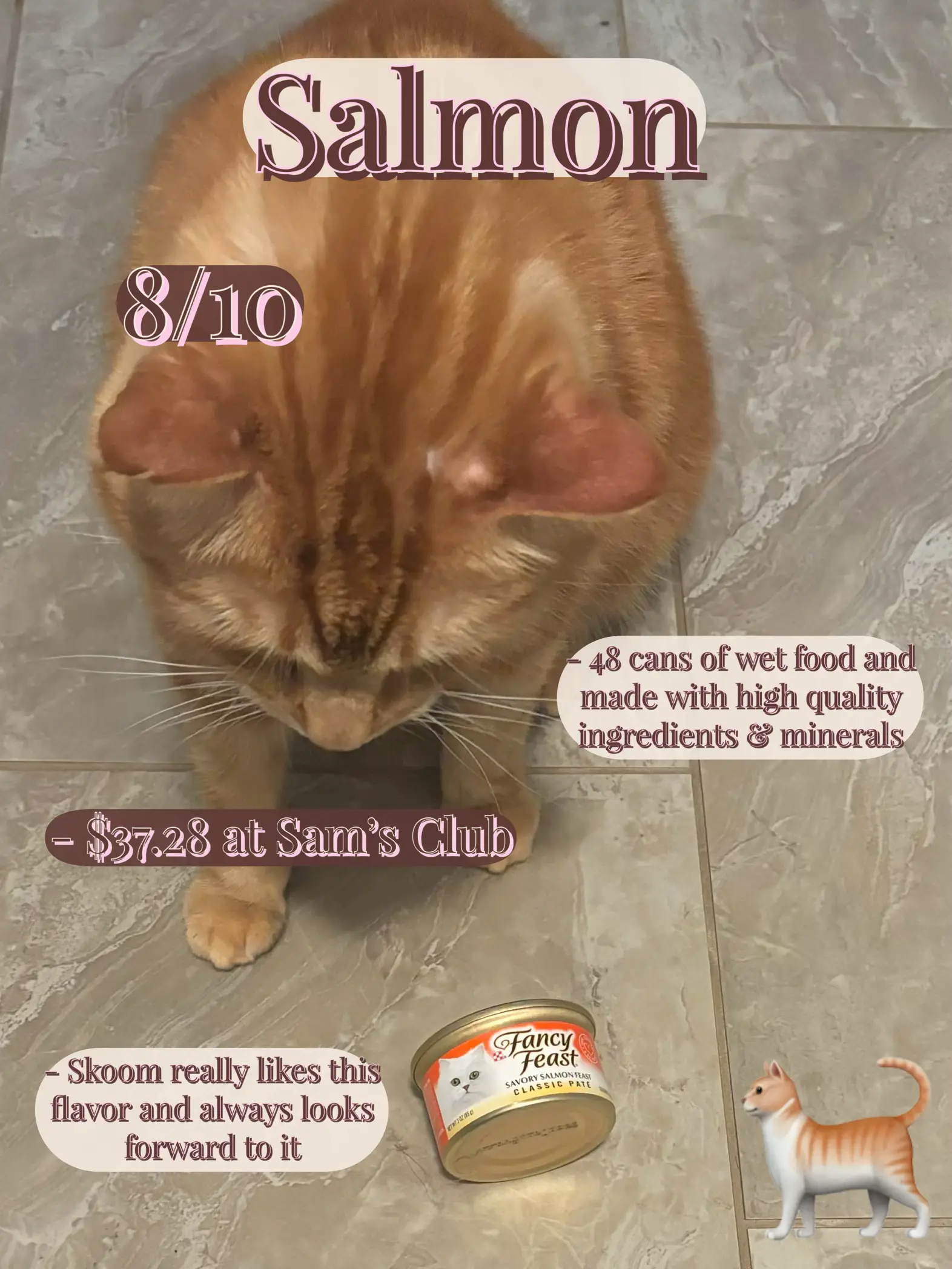 Sam's club sale wet cat food