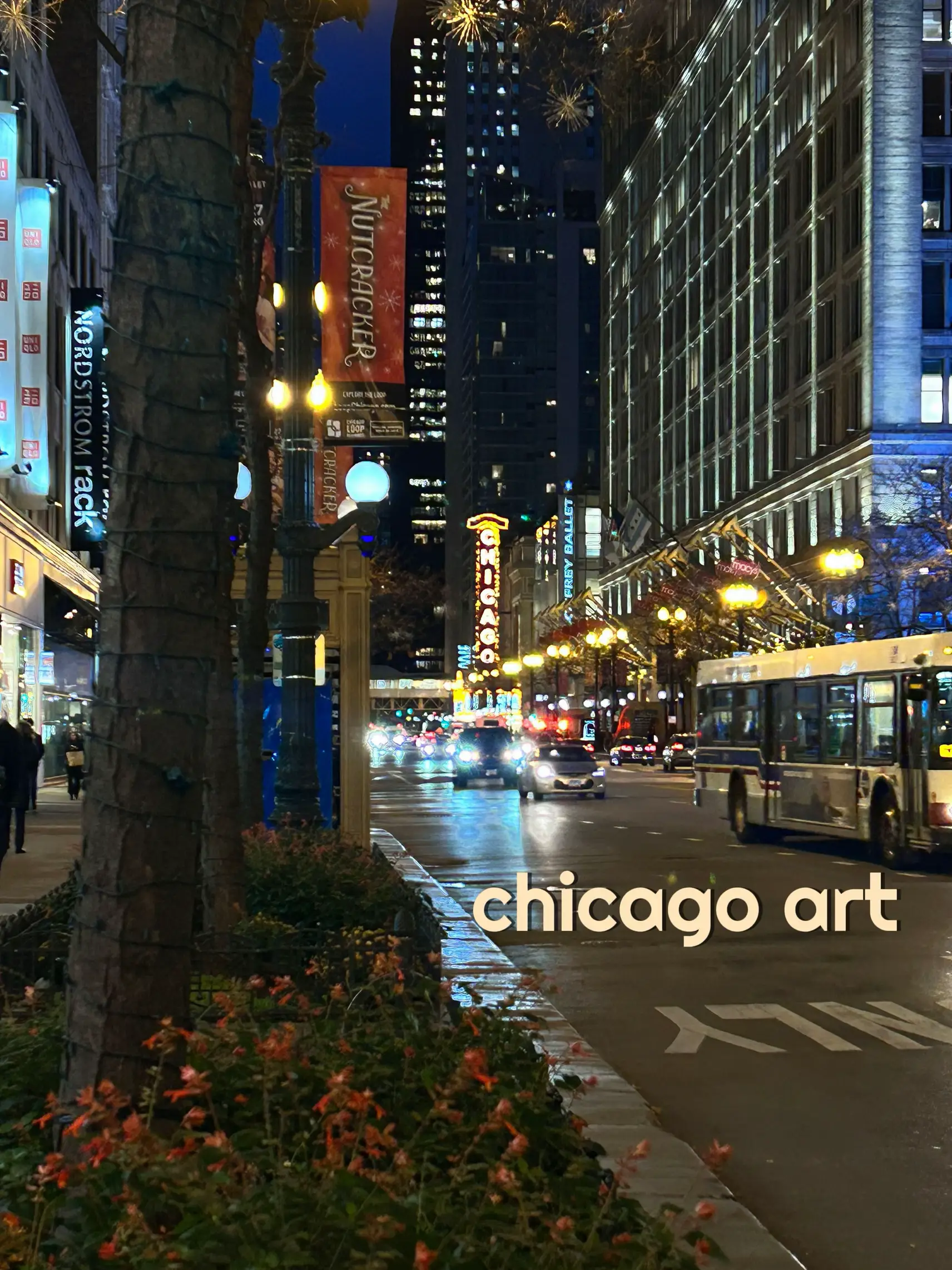 chicago art Gallery posted by EmmaleeKateLynn Lemon8