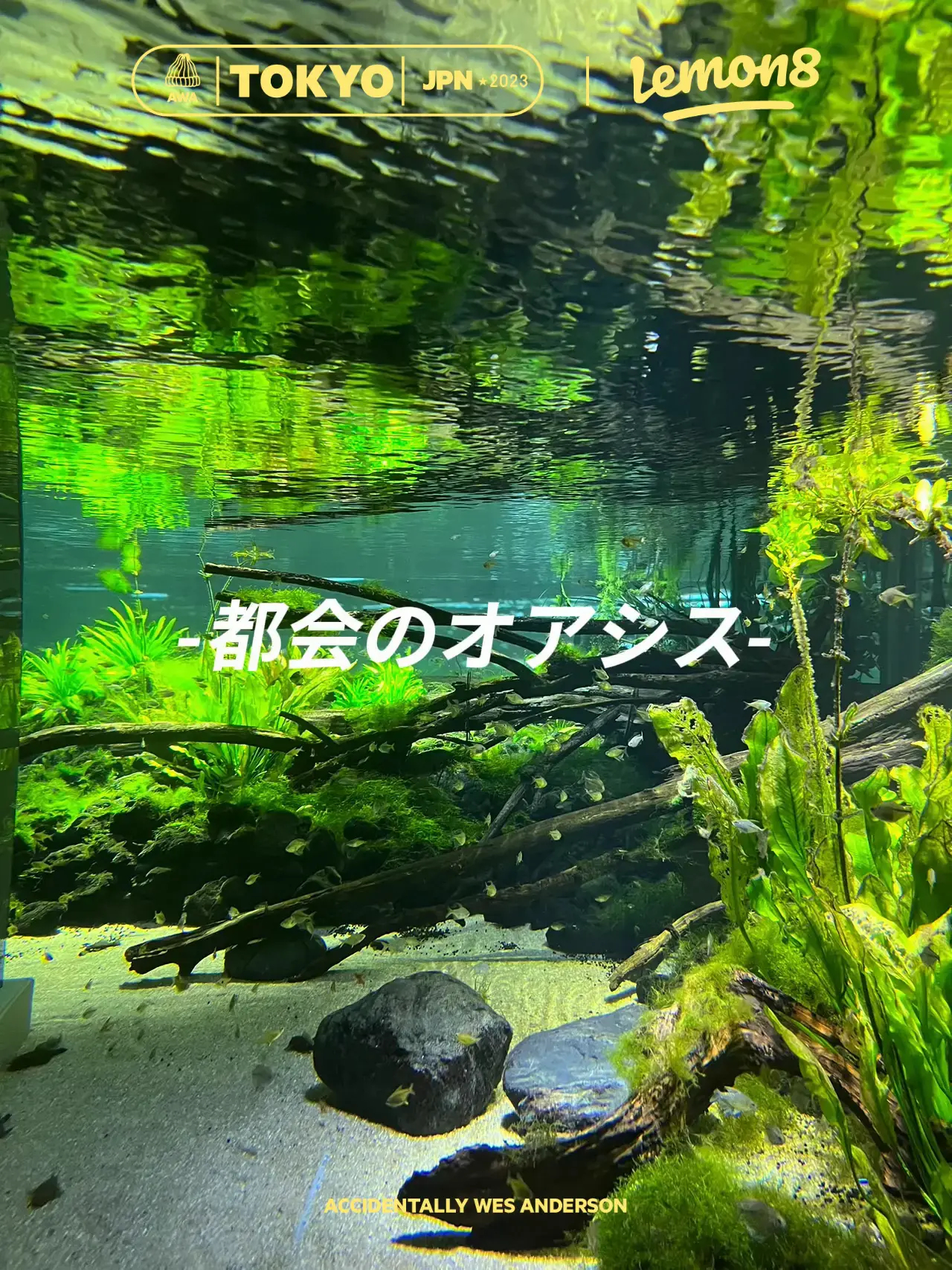 川崎水族館 | juntonaが投稿したフォトブック | Lemon8