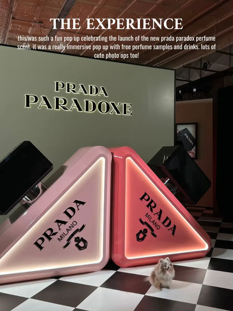 ICYMI: The Largest Prada Paradoxe Pop-Up In The World Was Built In Only 30  Hours