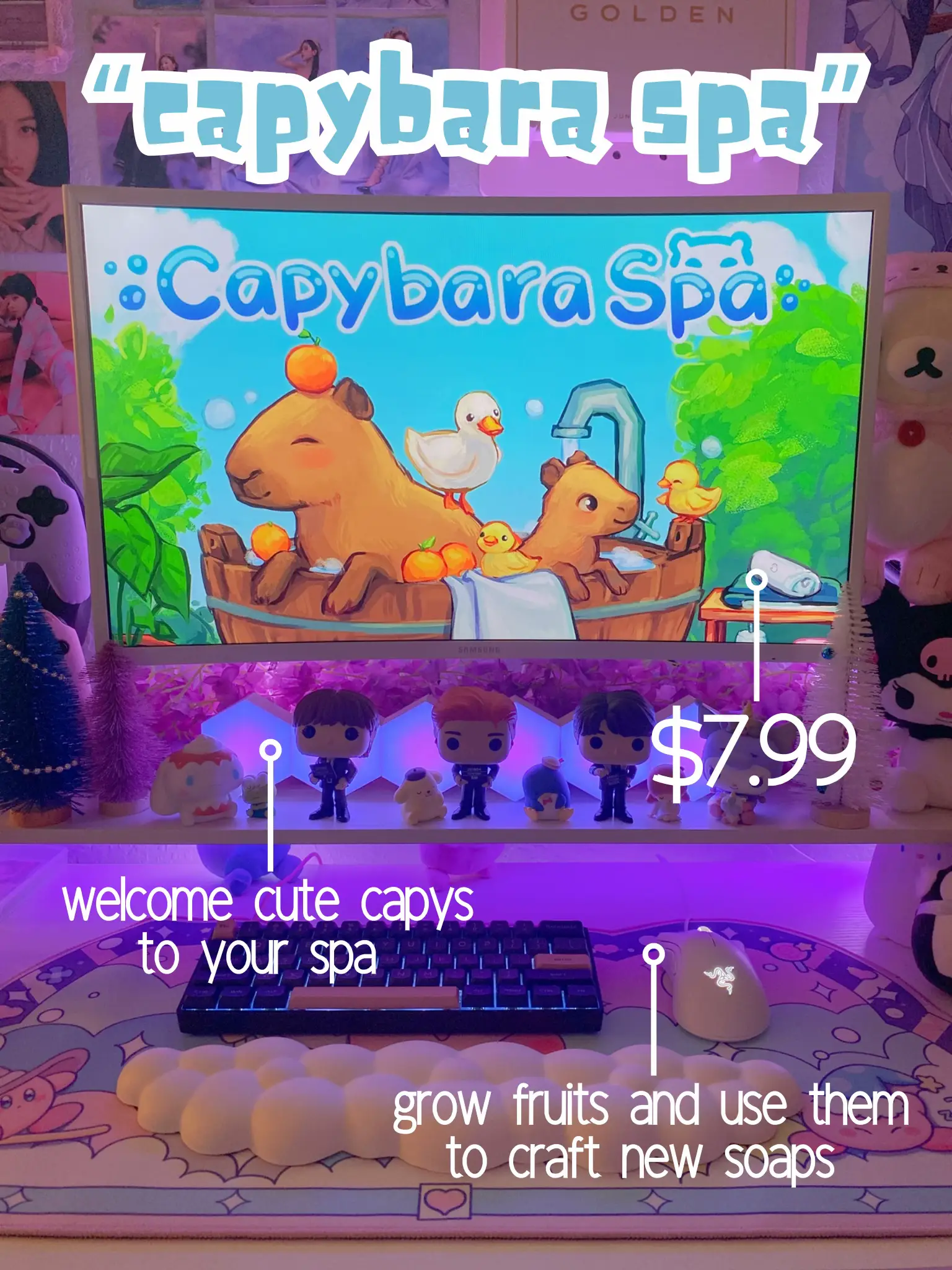 Capybara Spa on Steam