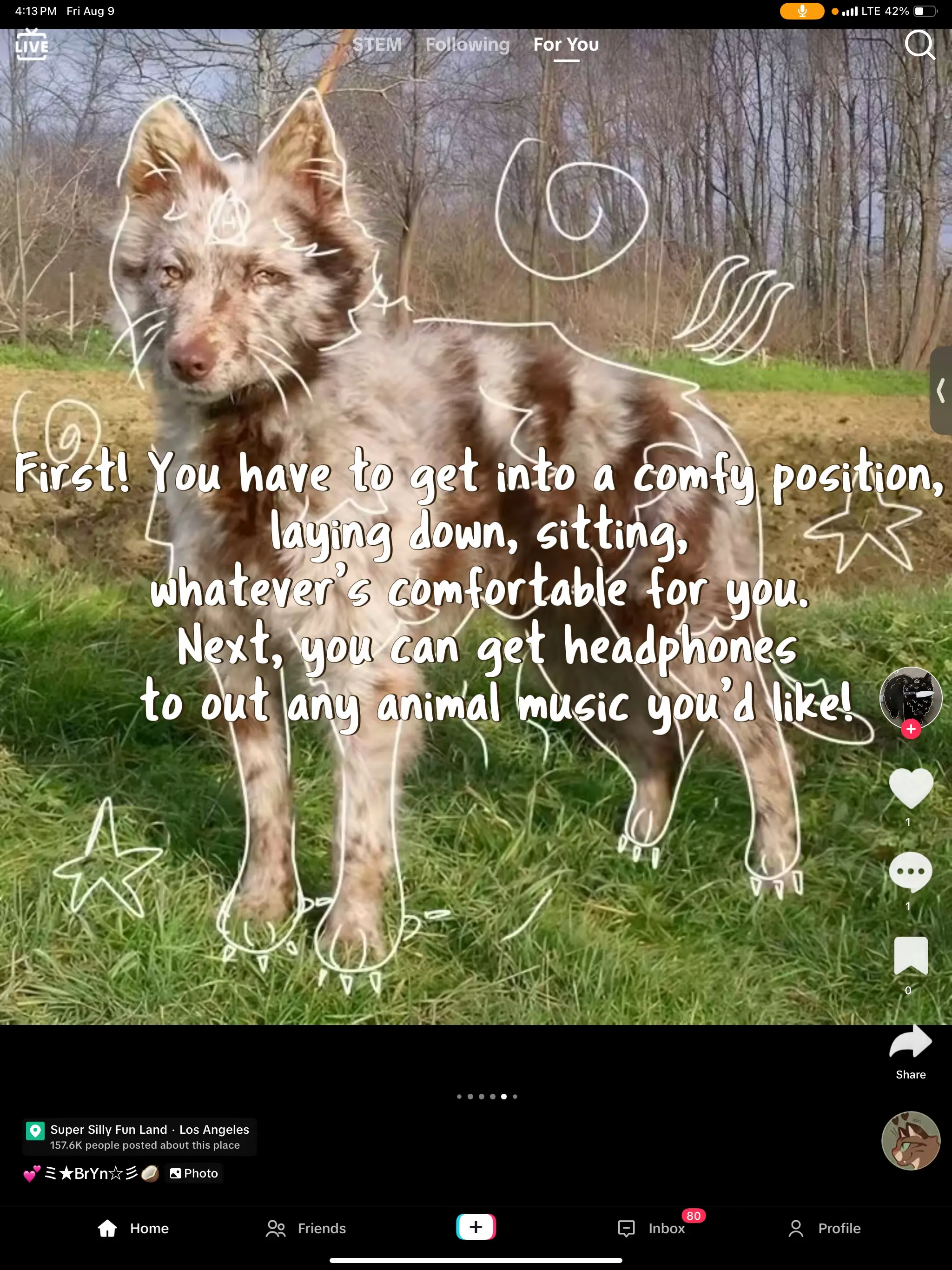 Therian tips on how to shift!! I hope it worked! | Gallery posted 