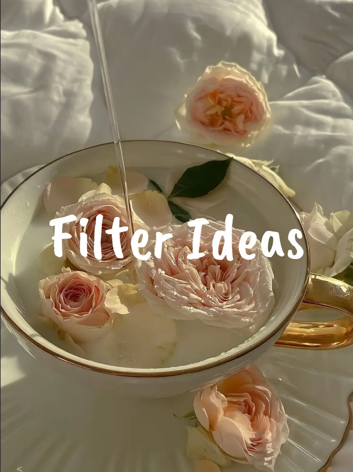 Filter Ideas 's images