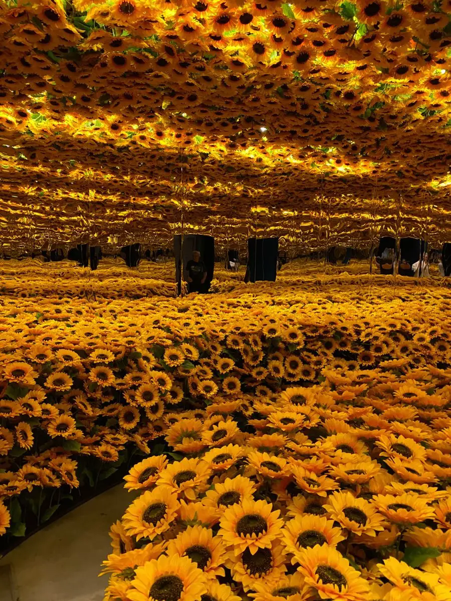 Temple of bloom seven sunflower
