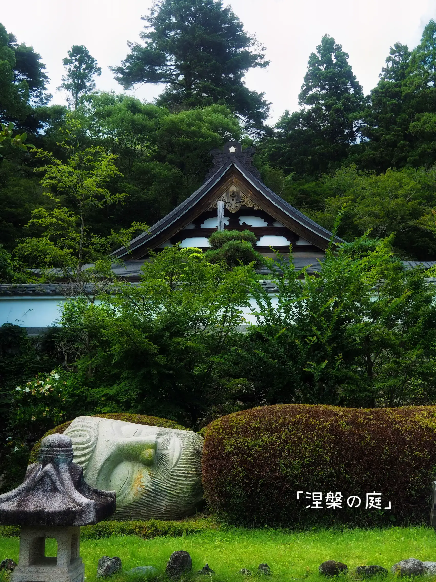 沙羅双樹の寺 【應聖寺】そこは幻想的な場所だった | shino_photoが投稿したフォトブック | Lemon8