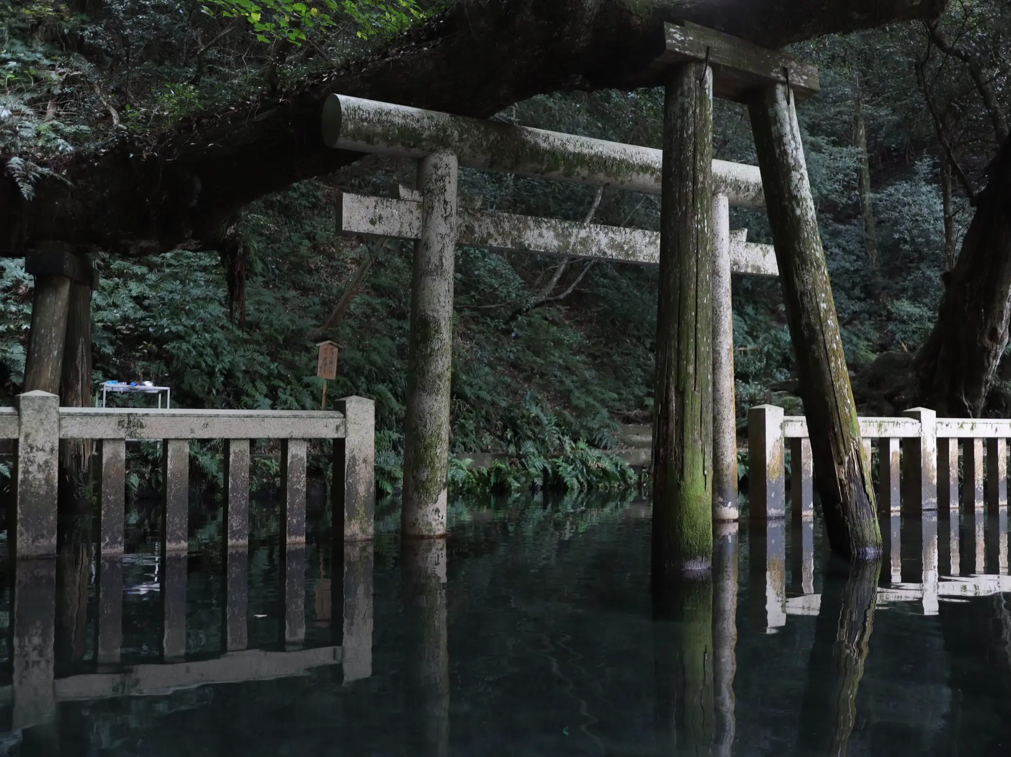 茨城県にある神々しい神社⛩✨️ | ヘムが投稿したフォトブック | Lemon8