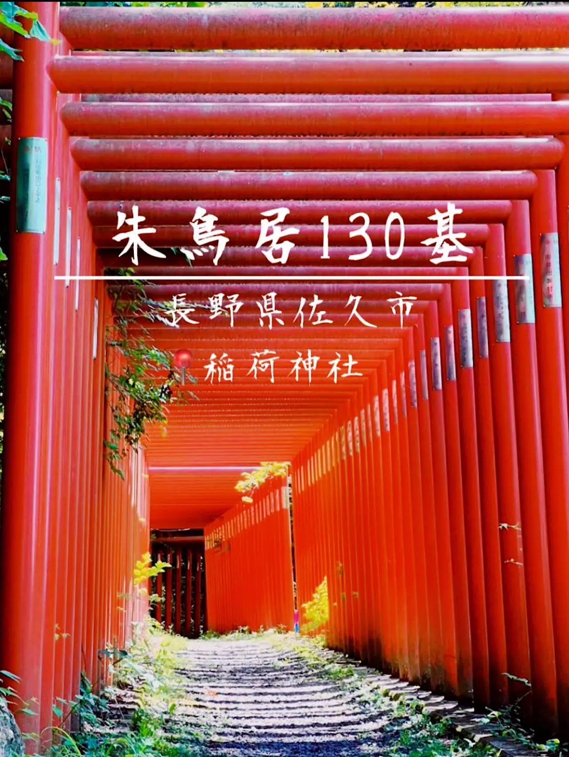 長野県】鳥居⛩️が映える✨稲荷神社(佐久市鎮座) | Ｙ&Ｙプチ旅散歩が投稿したフォトブック | Lemon8