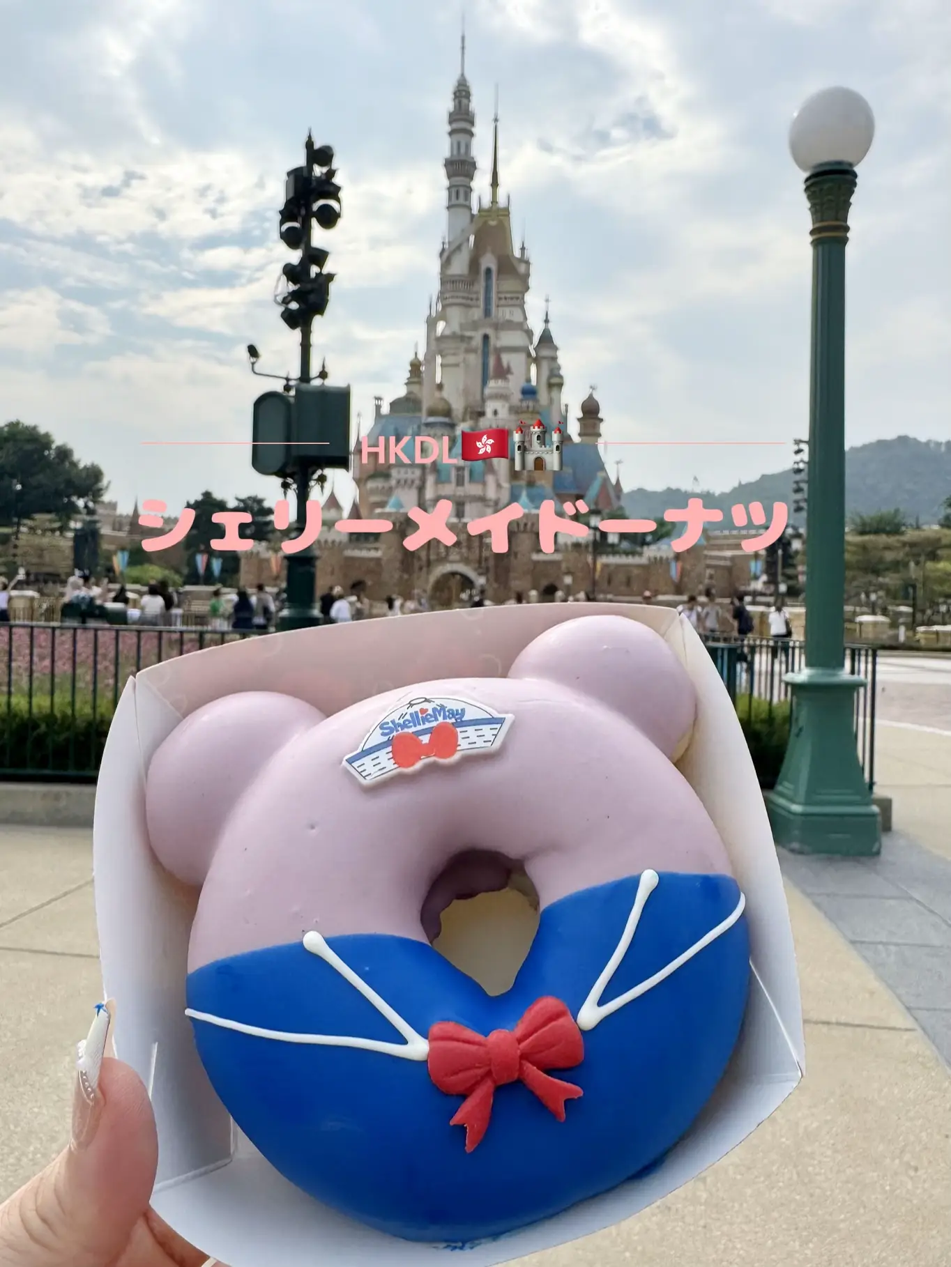 香港ディズニー2商品