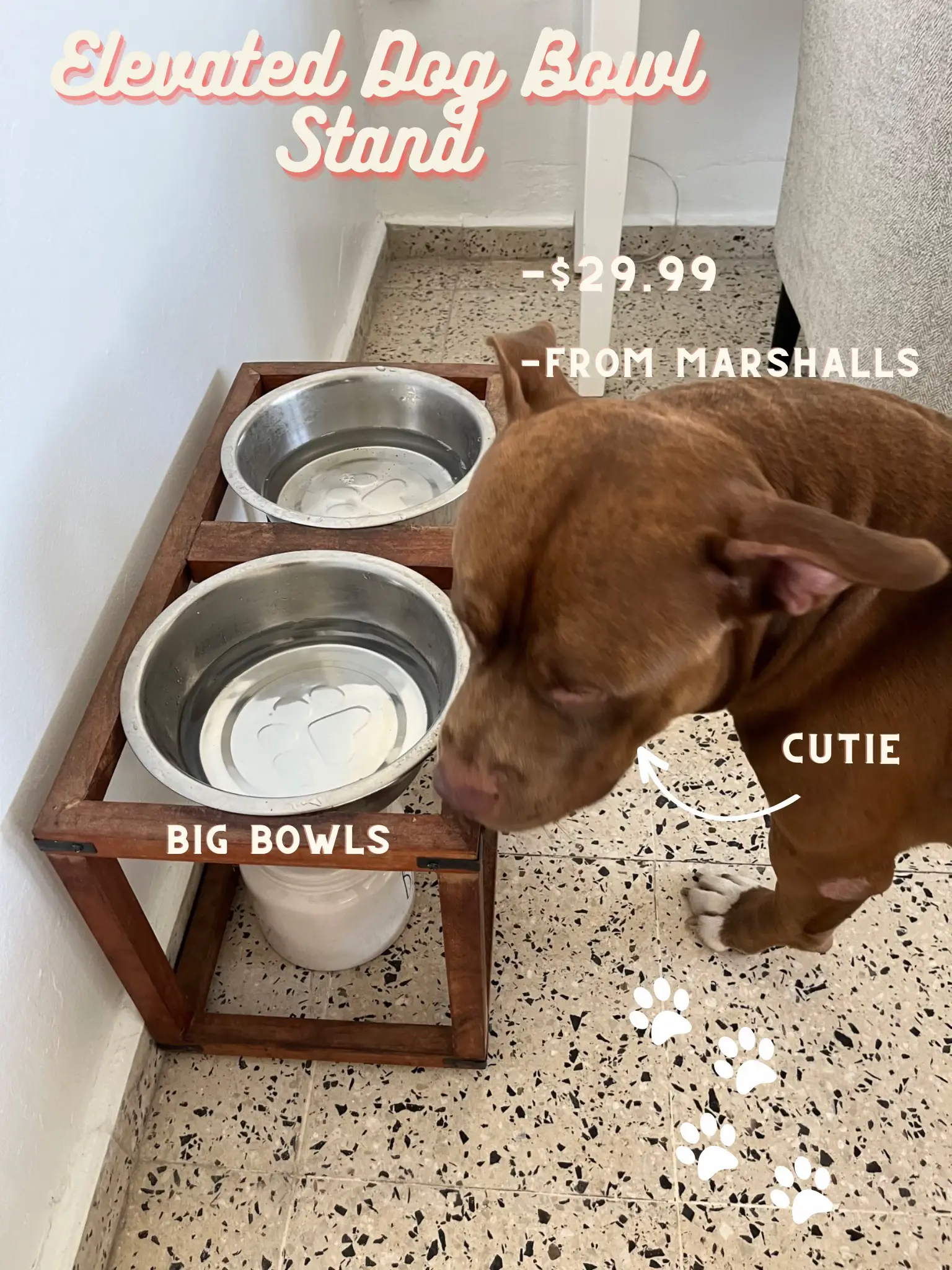 Marshalls dog bowls best sale