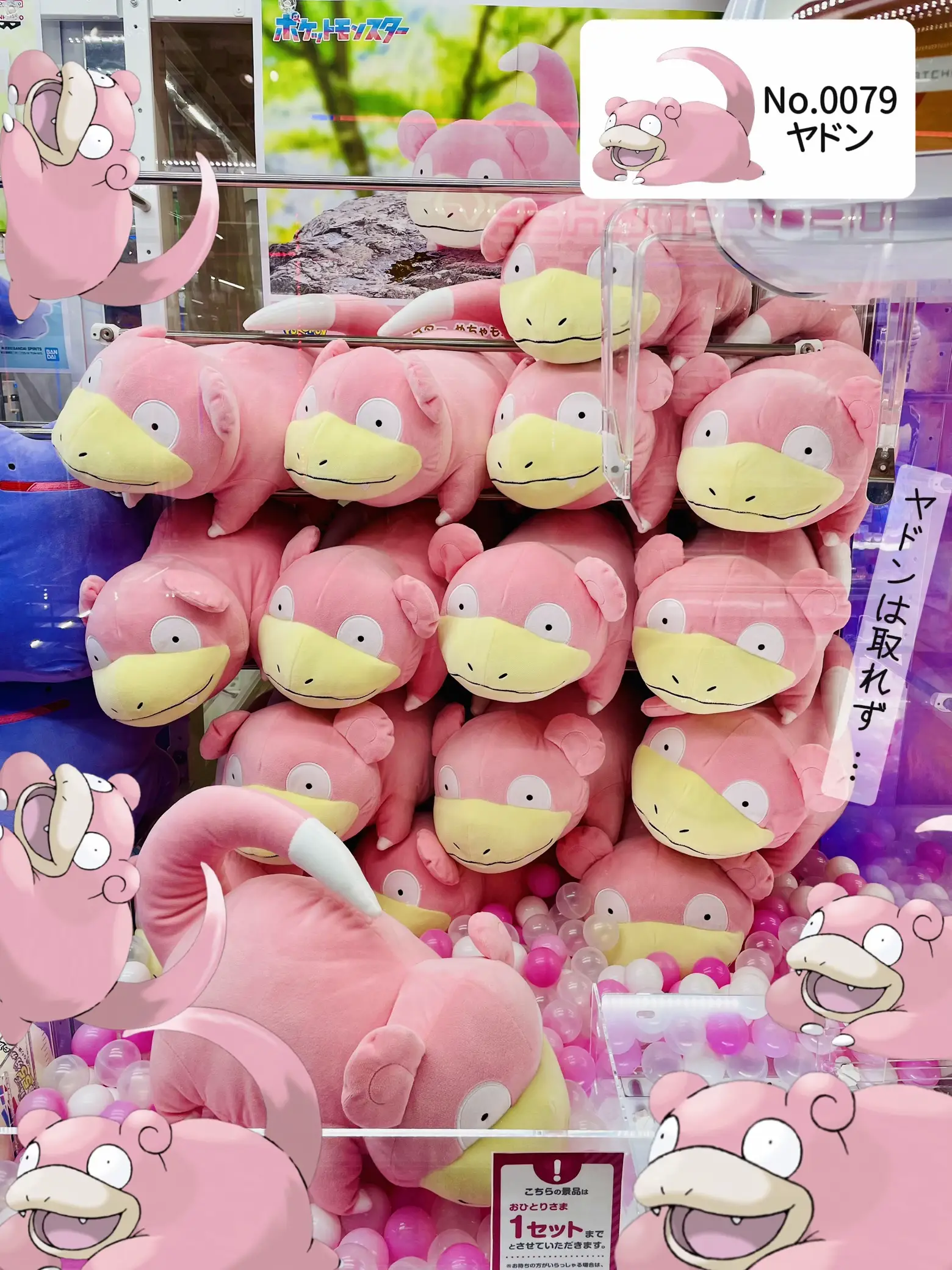 ポケモン大量発生中！ | YUKが投稿したフォトブック | Lemon8