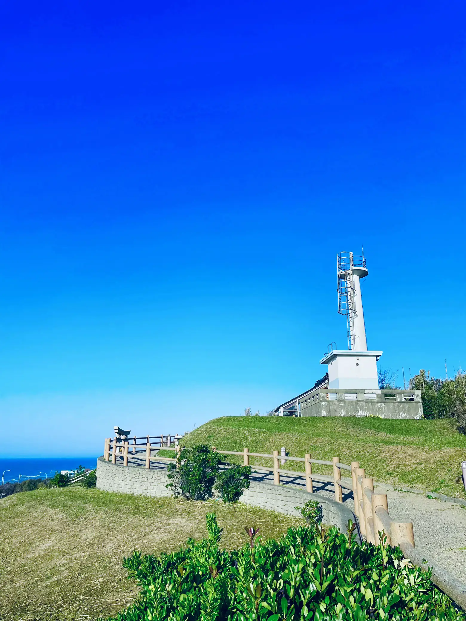 内島青鳳 恵比寿大黒 【公式通販】