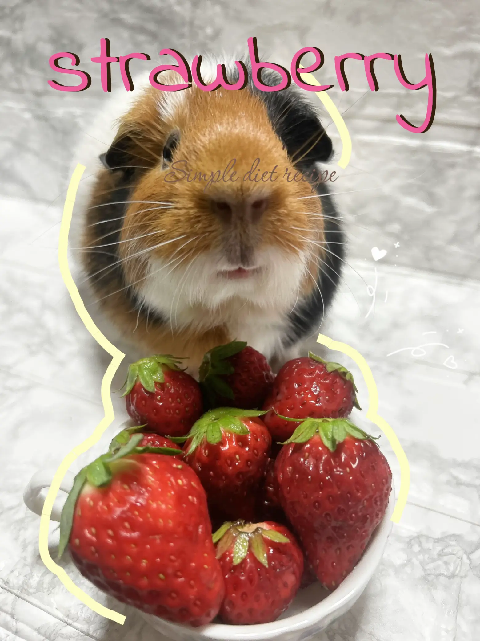 Guinea pig eat outlet strawberry