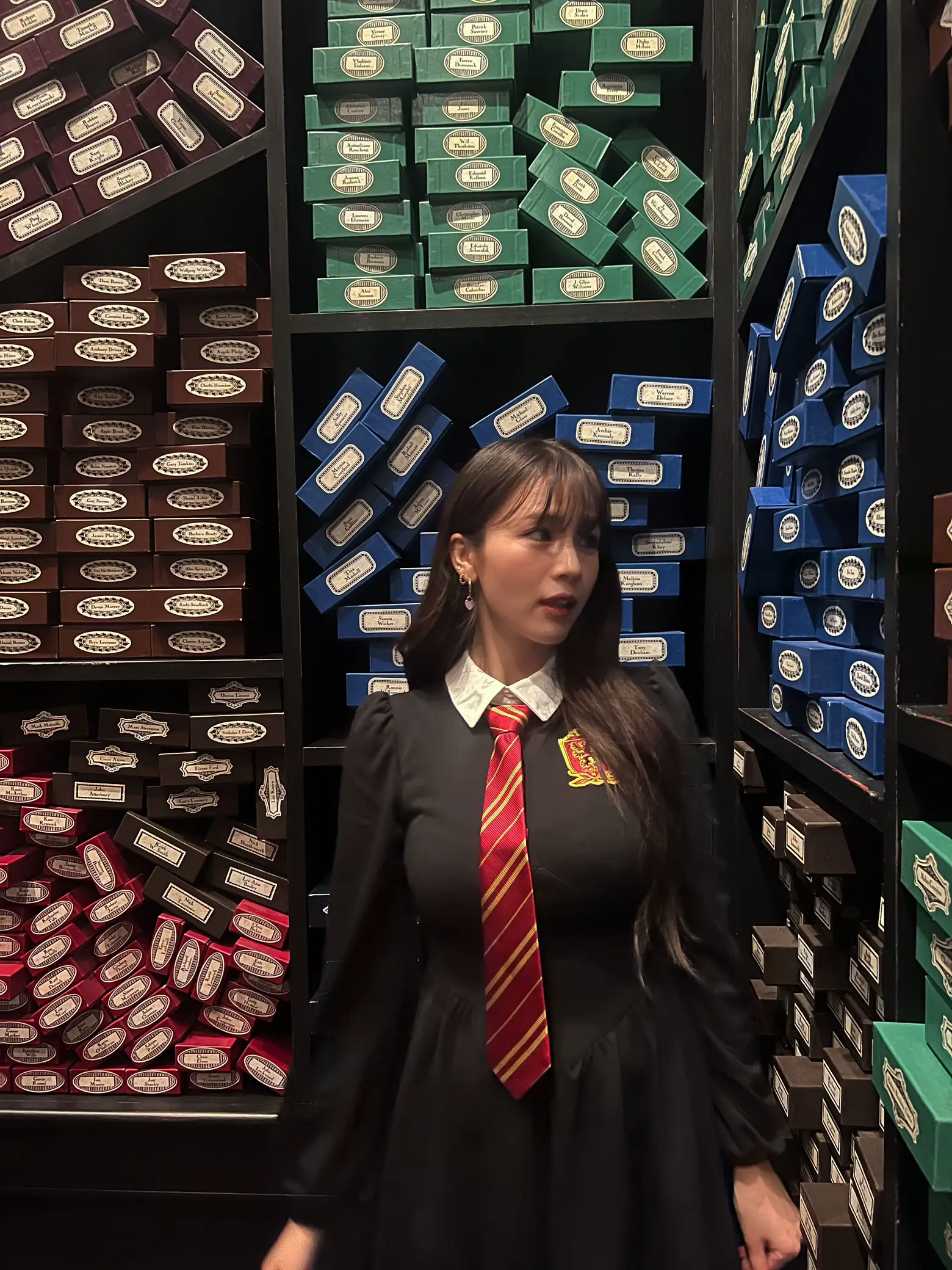 2024年のHarry Potter Sheinのアイデア20選