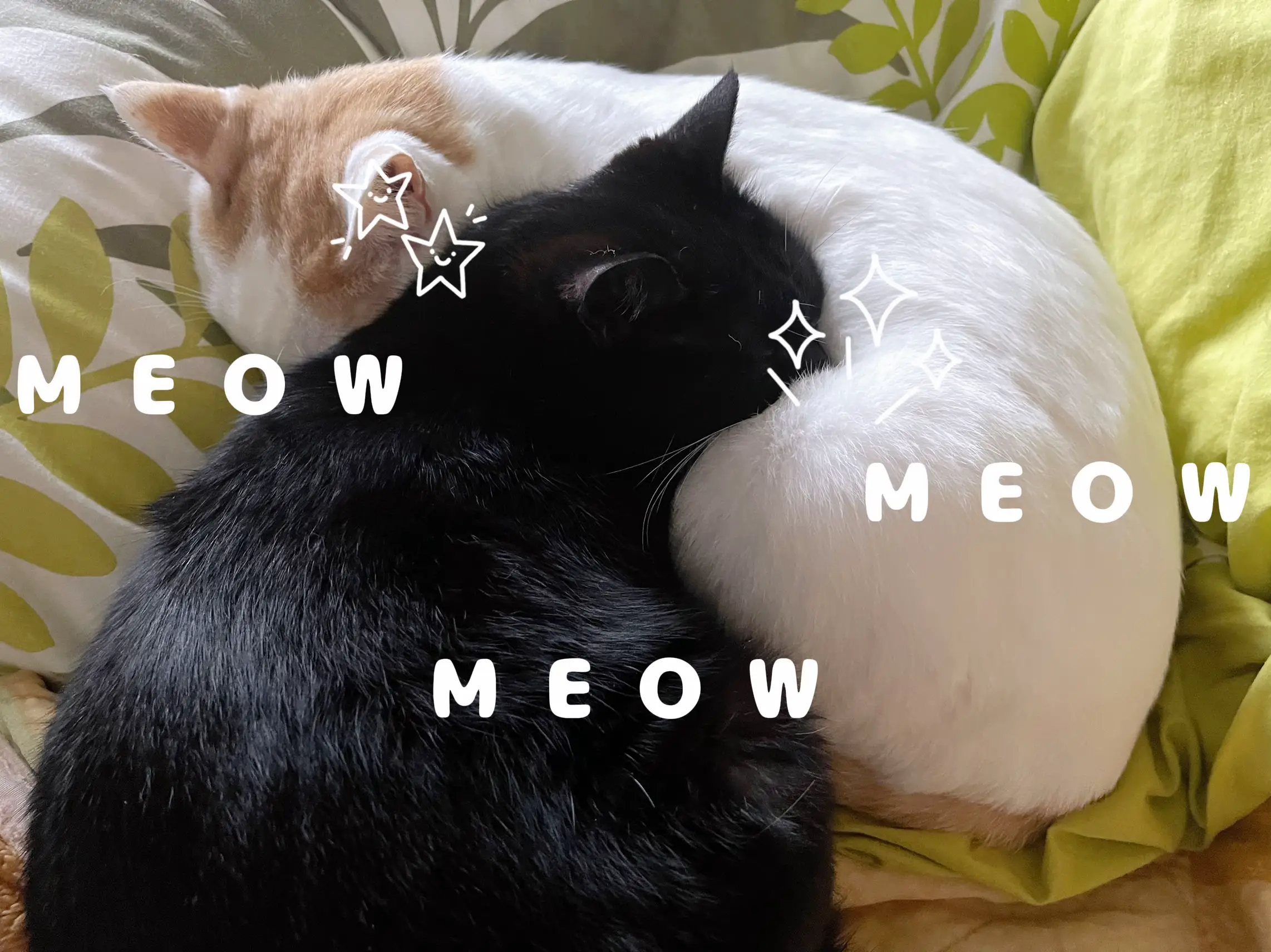 ぐでねこちゃんヘアクリップ 三毛猫×向日葵 （フェリシモ公式 