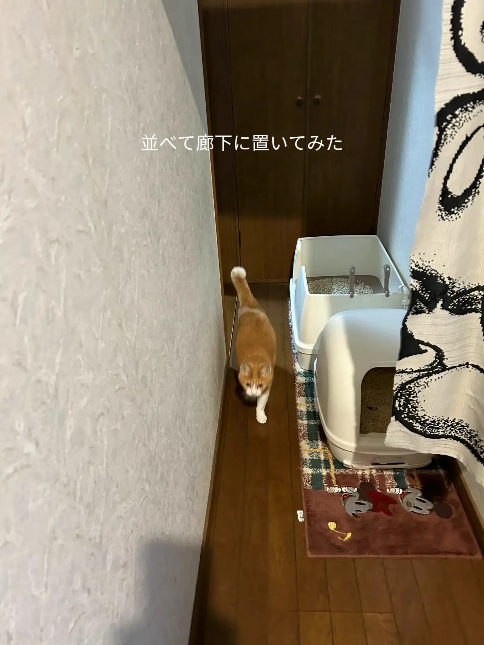 トイレ　js　gif 