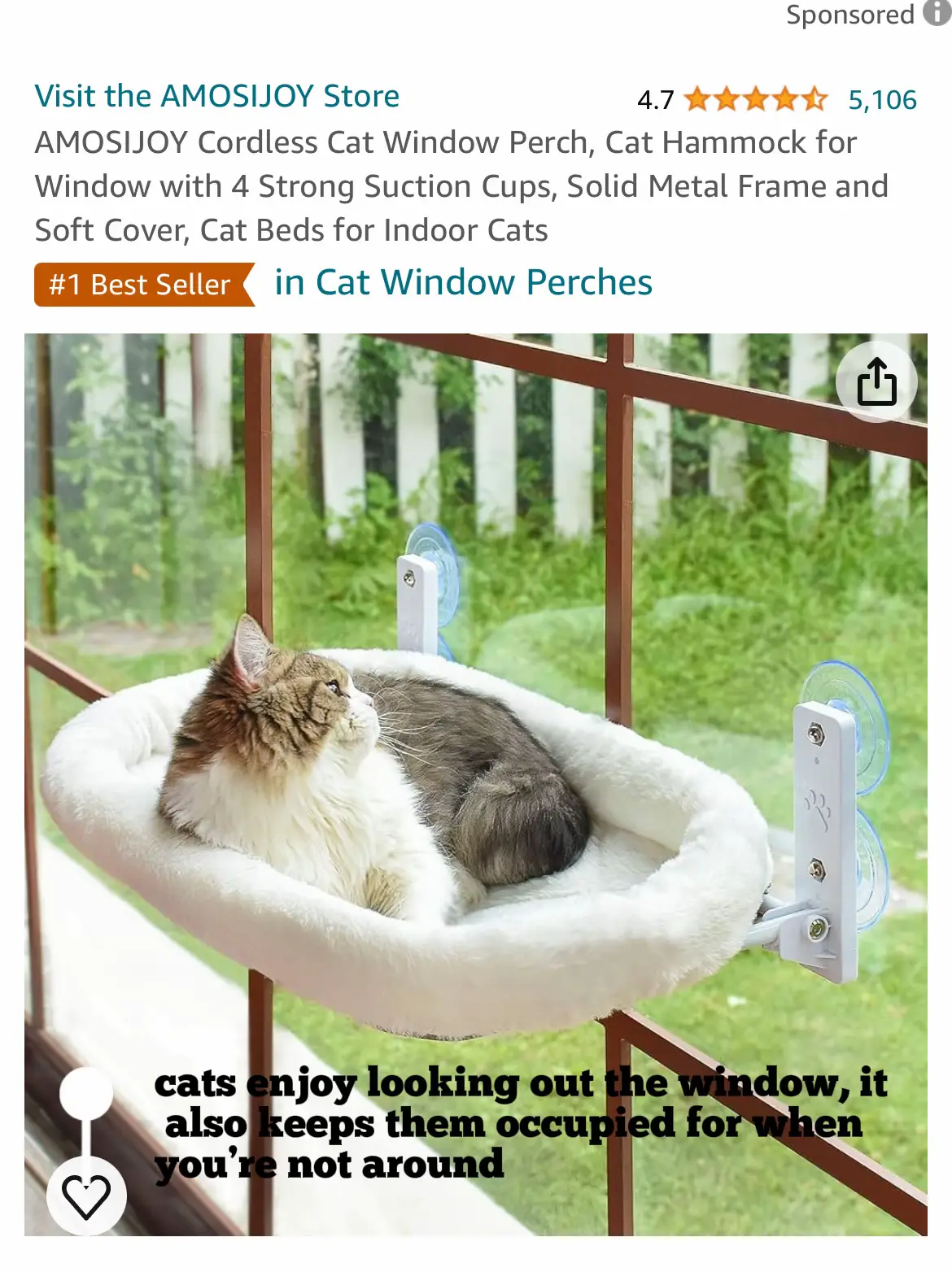 AMOSIJOY Cordless Cat Window Perch Cat Hammock, Large Cats Window Cat Beds  with 4 Suction Cups & Solid Metal Frame, Foldable Cat Seat for Indoor Cats  (Medium) : : Pet Supplies