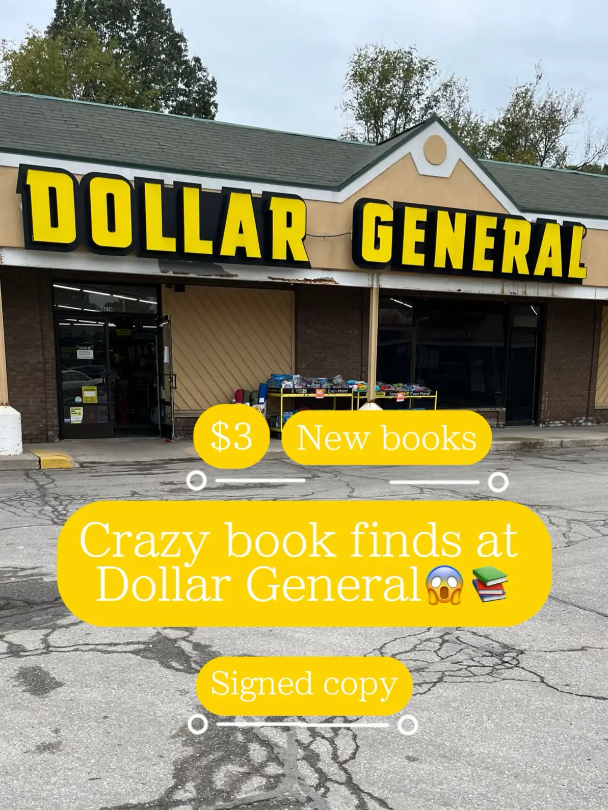 Dollar Tree vs. Dollar General: How They Compare - The Krazy