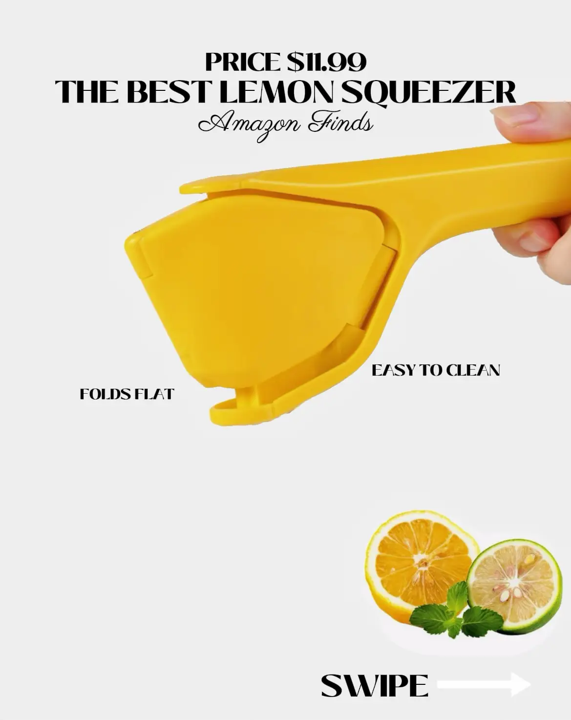 18 top How to Choose The Best Lemon Squeezer ideas in 2024