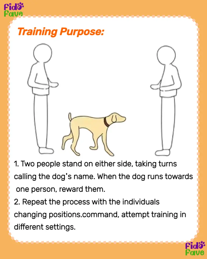 Fido training hot sale