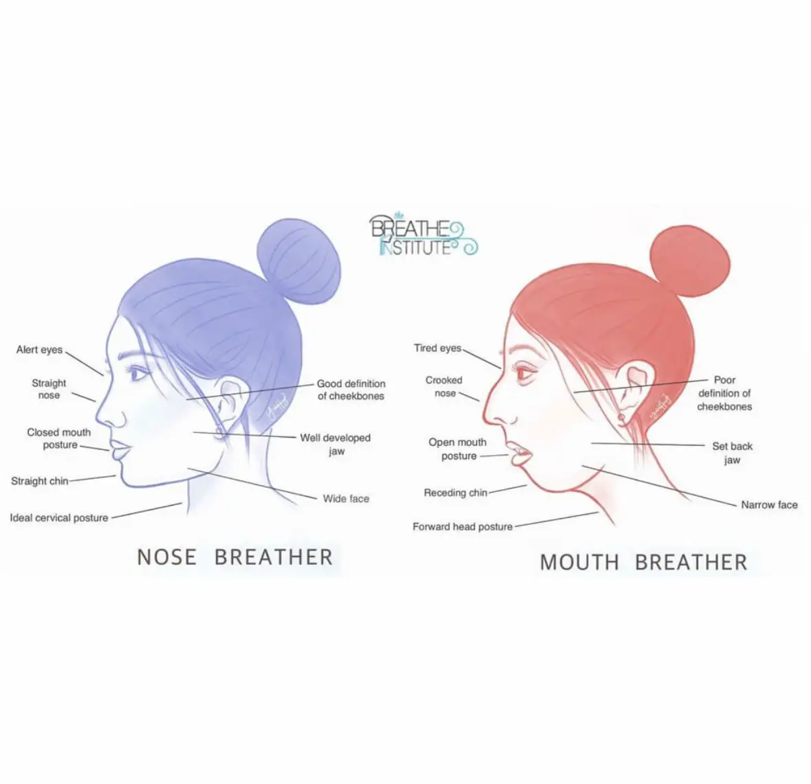 Nose breathing vrs mouth breathing | Gallery posted by ☆ 𝓛𝓲𝔃 ☆ | Lemon8