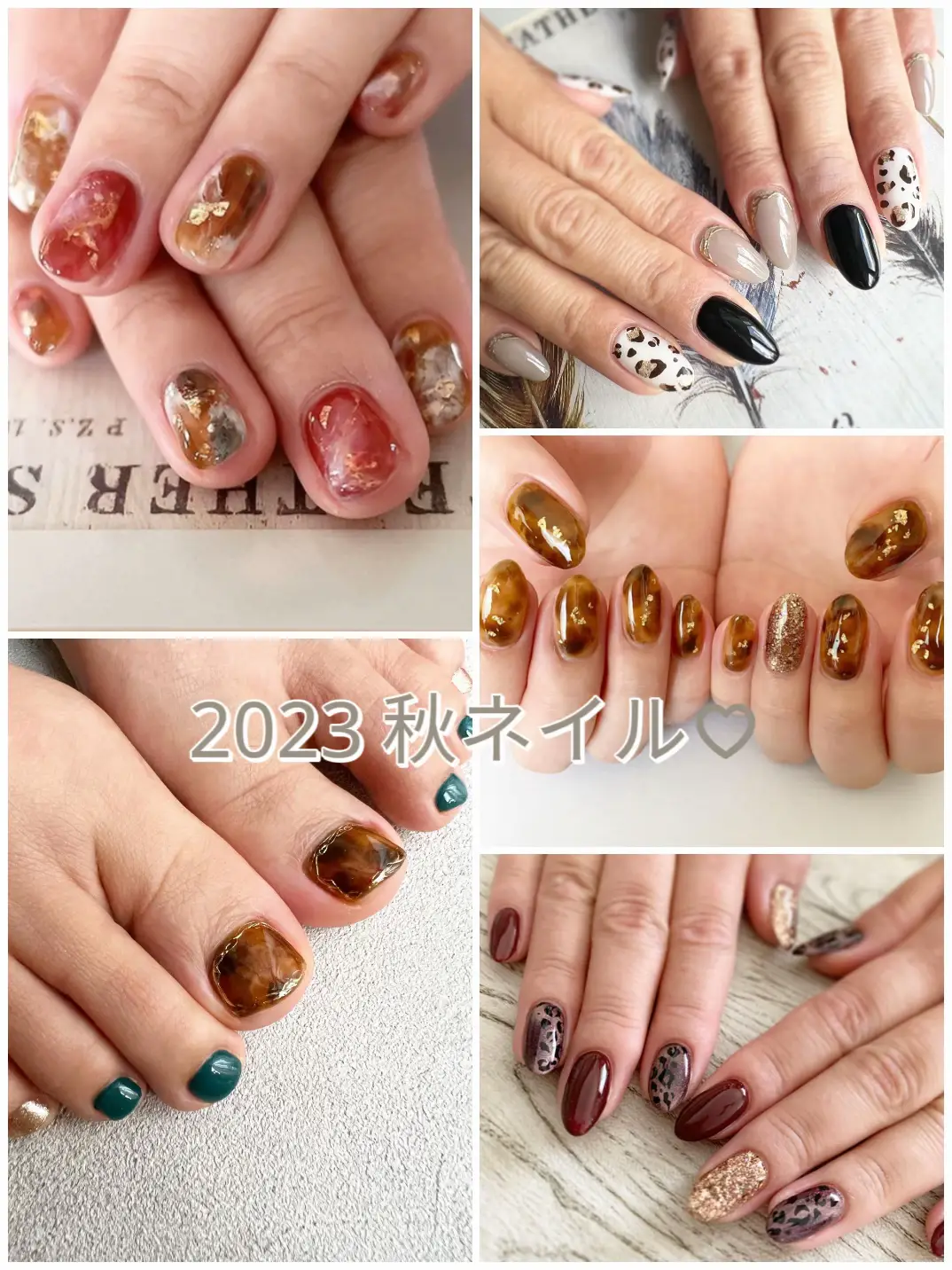 2023 秋ネイル♡ | charme.nailが投稿したフォトブック | Lemon8