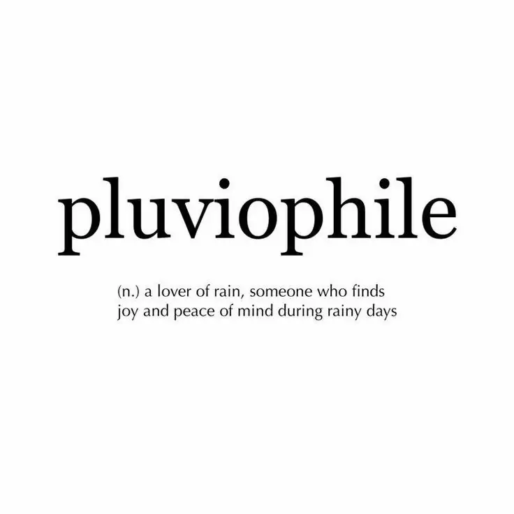  A person is shown with the words " pluviophile " and " a lover of rain " written above them.