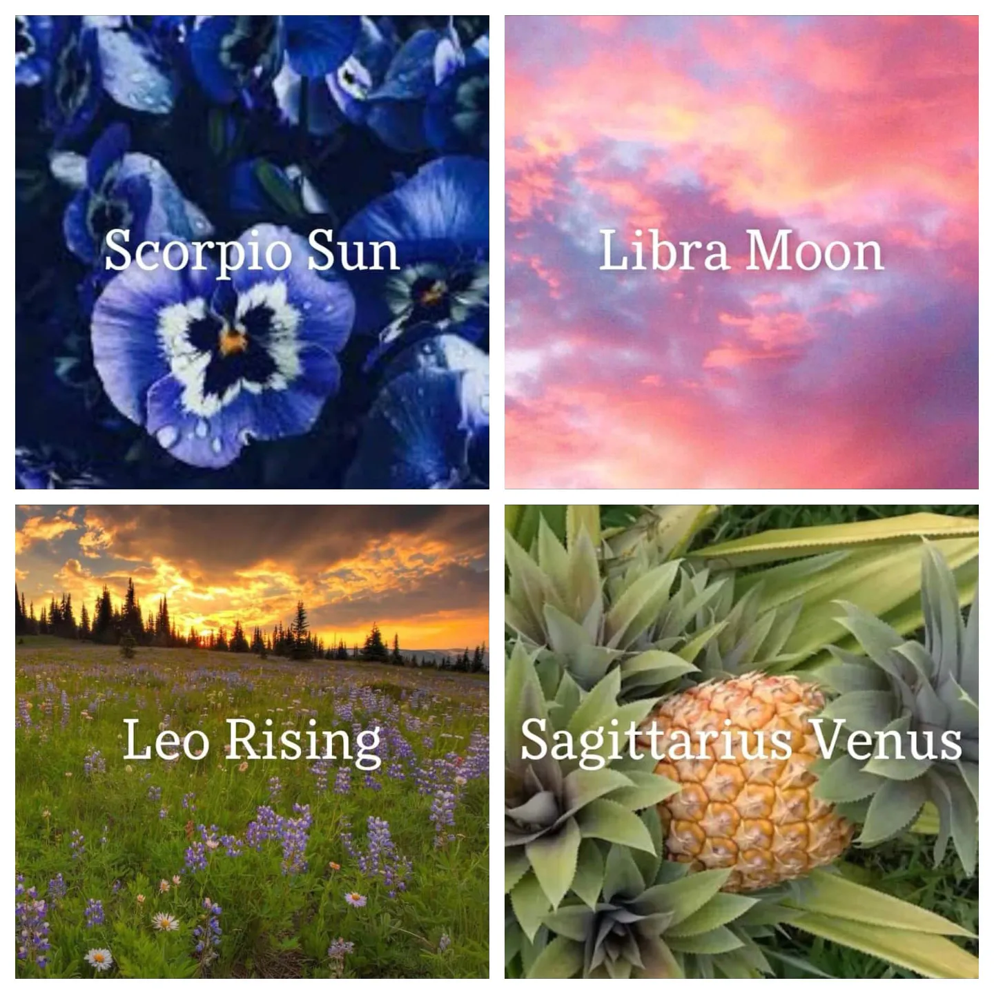 ✨Just Astrology Things✨ | Gallery posted by KarsonMBG | Lemon8