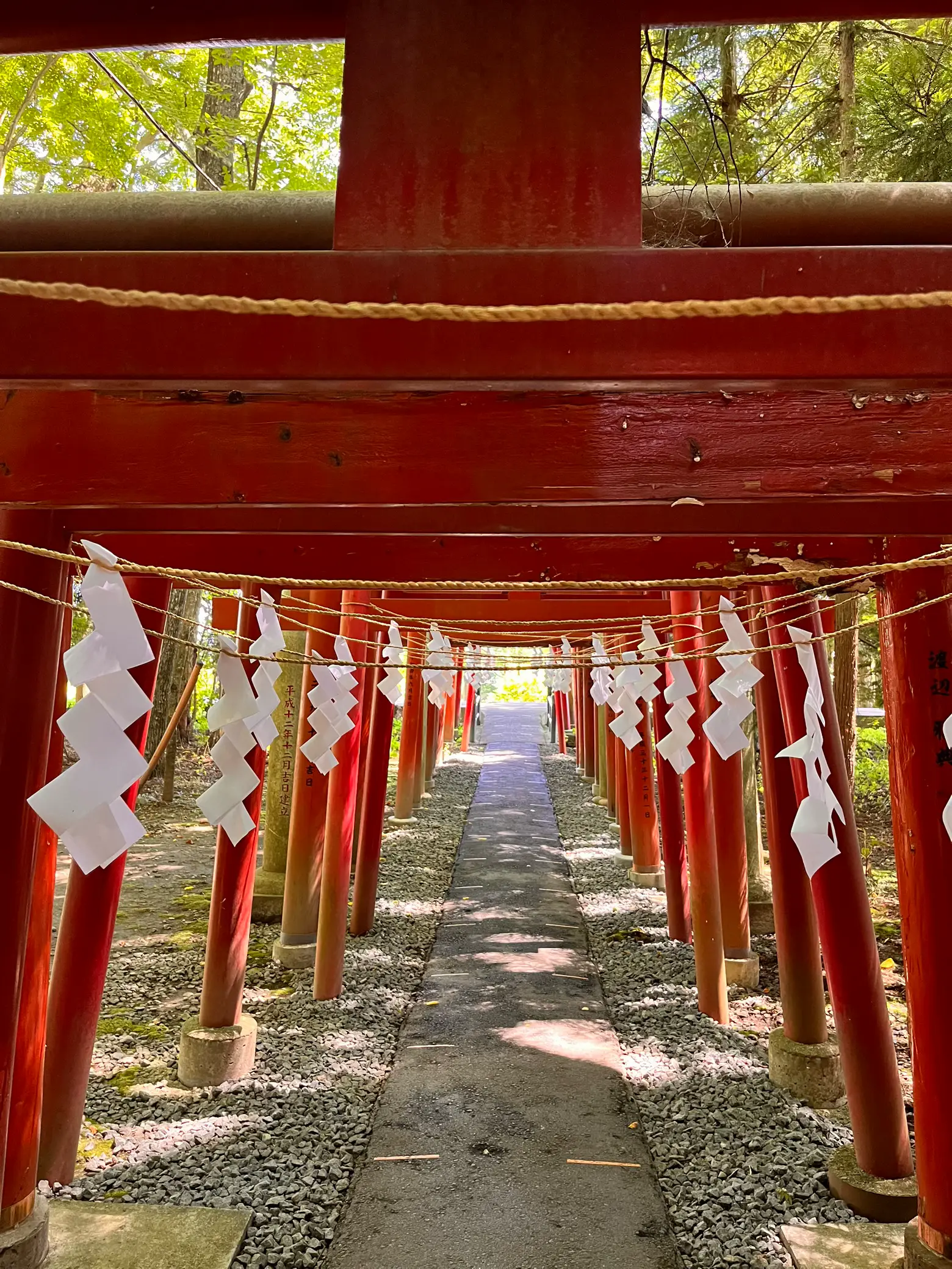 絶対金運アップ！！【新屋山神社】と【富士御室浅間神社】の金運カード