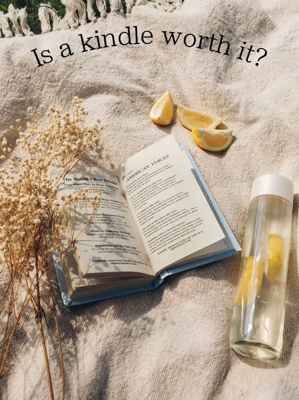 is-a-kindle-worth-it-gallery-posted-by-lovely-lemon8