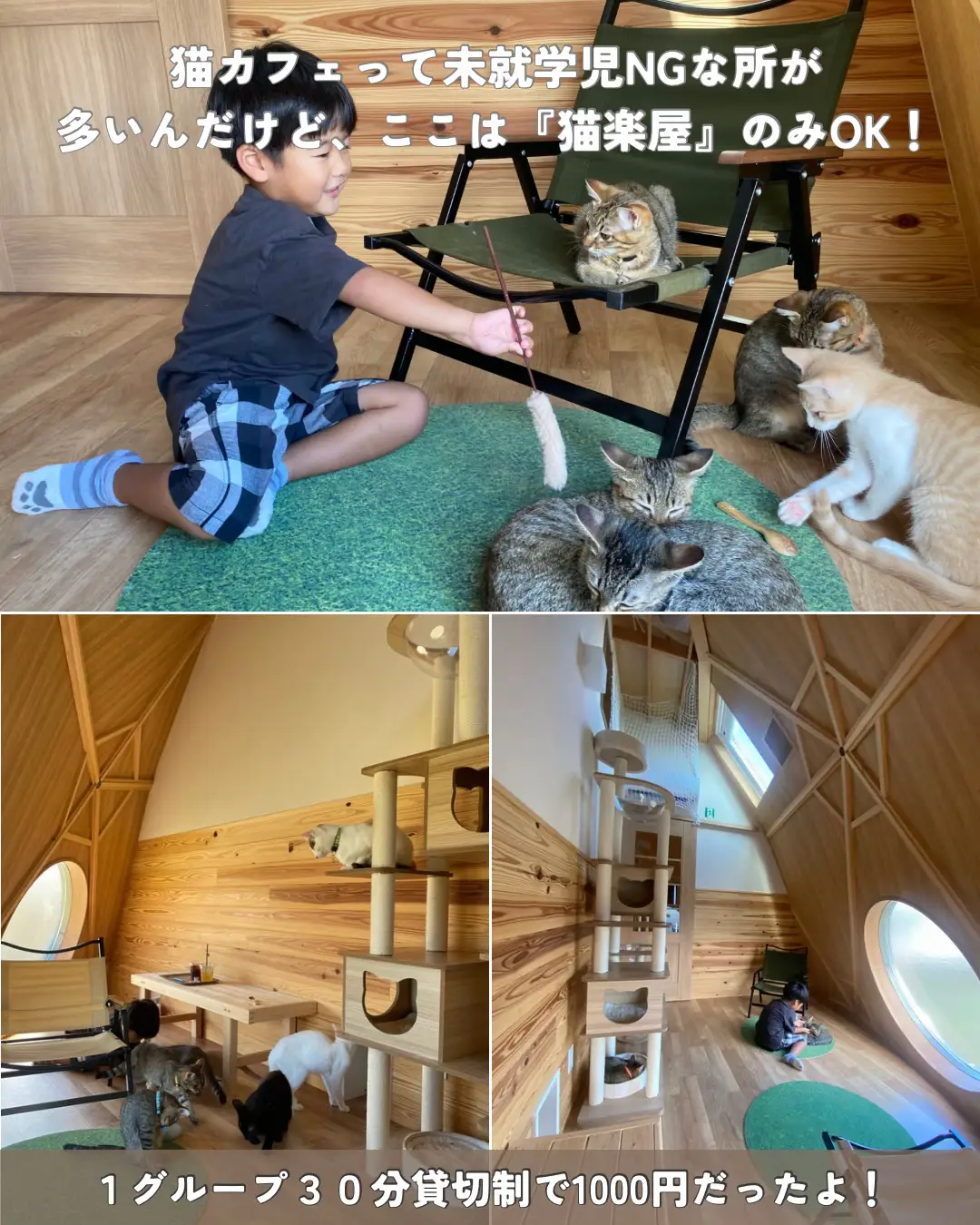 猫のおり 超大型フリースペース猫屋敷猫別莔d - 猫用品