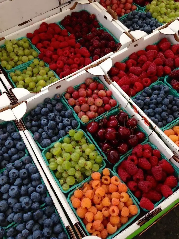  A display of blueberries and grapes.